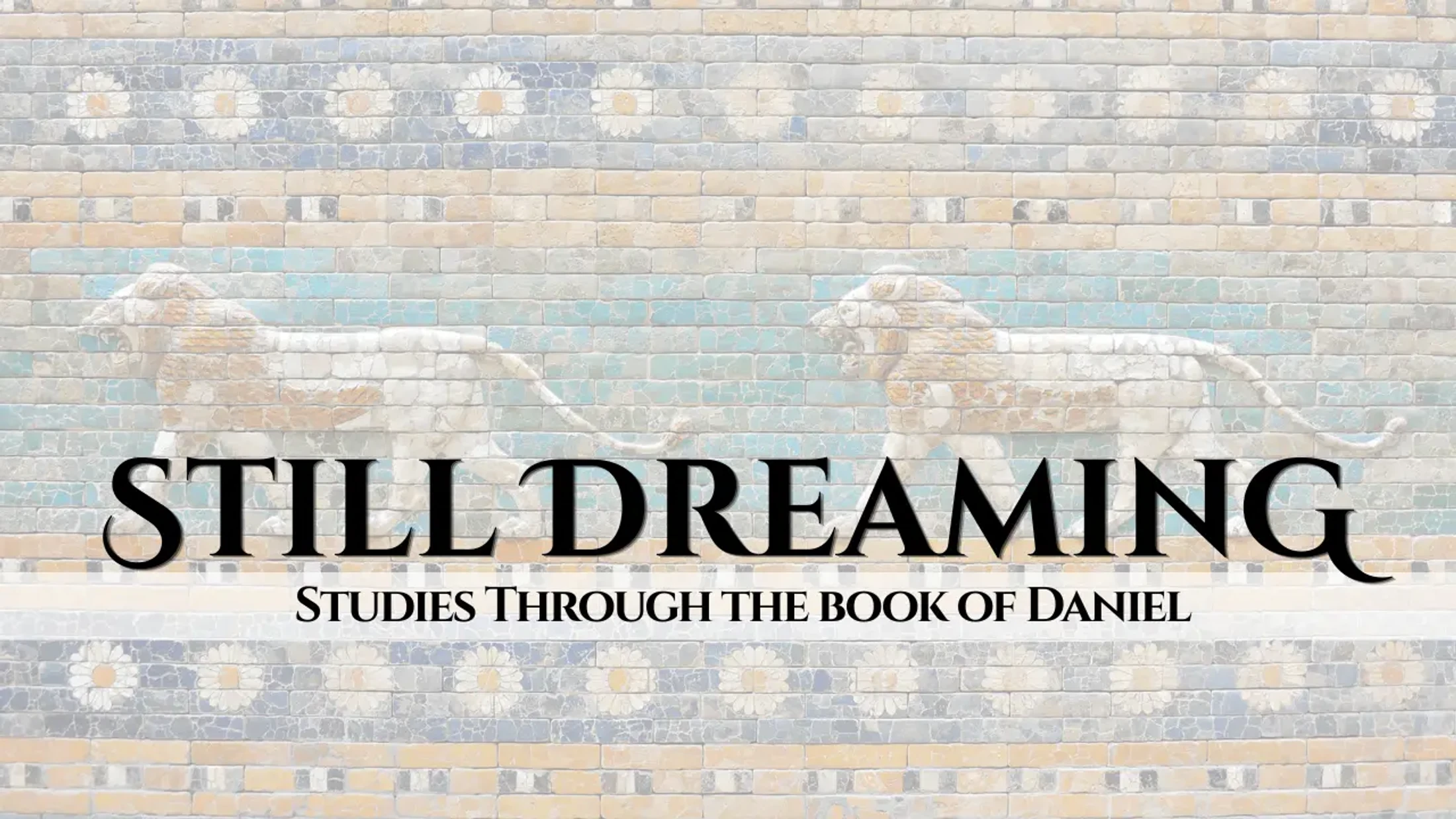Still Dreaming