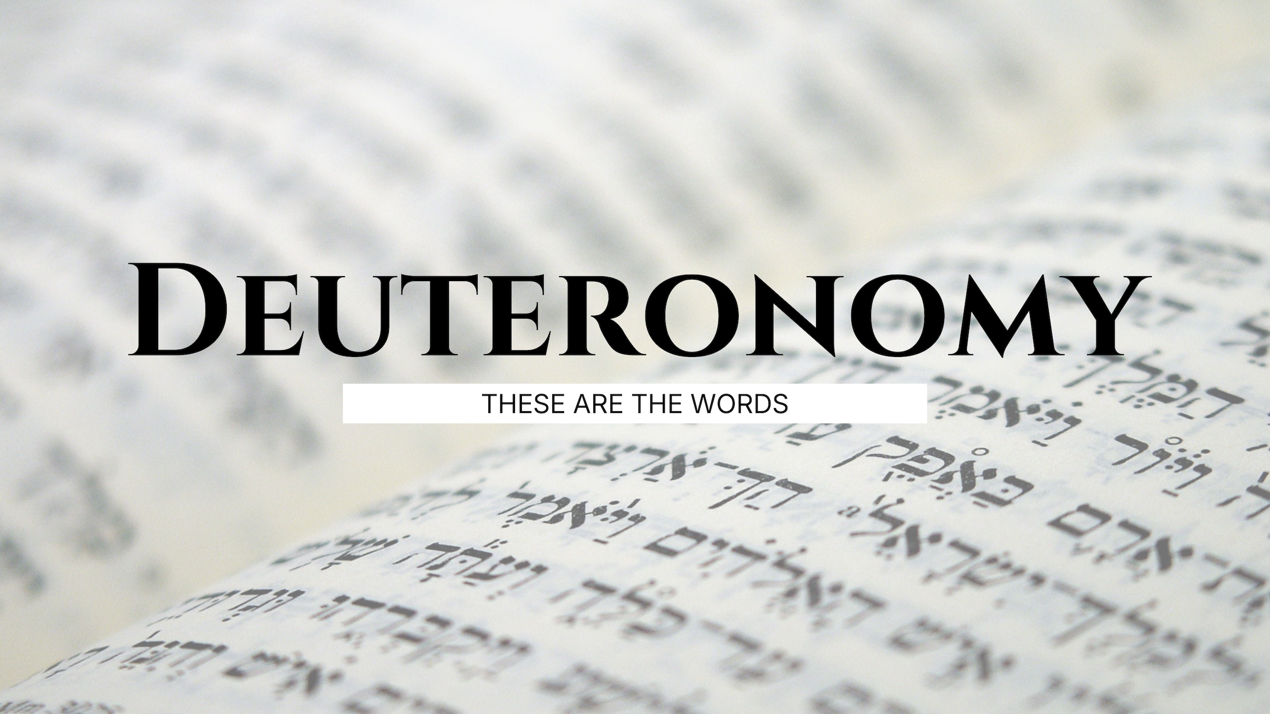 Deuteronomy series artwork