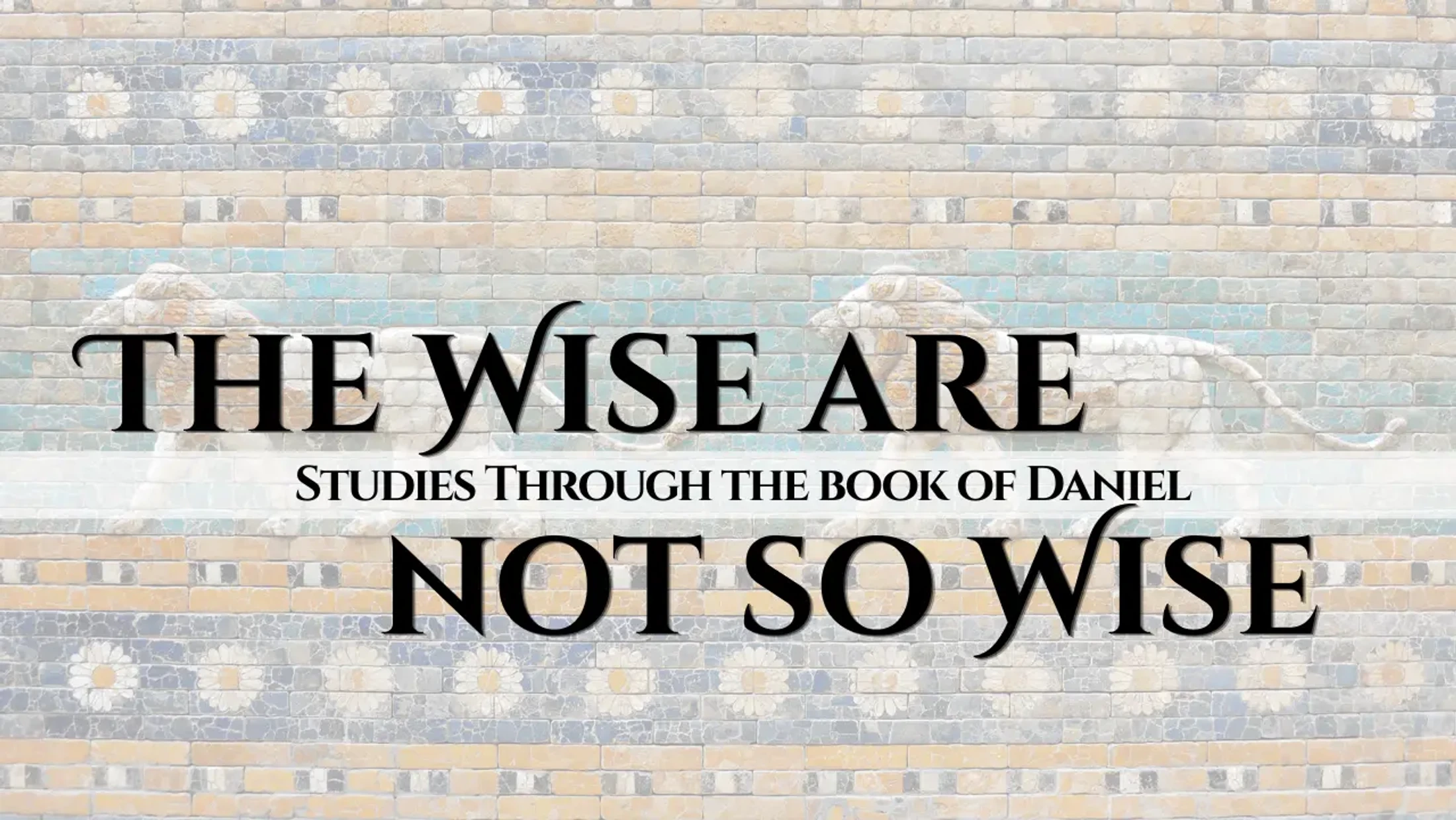 The Wise Aren’t So Wise