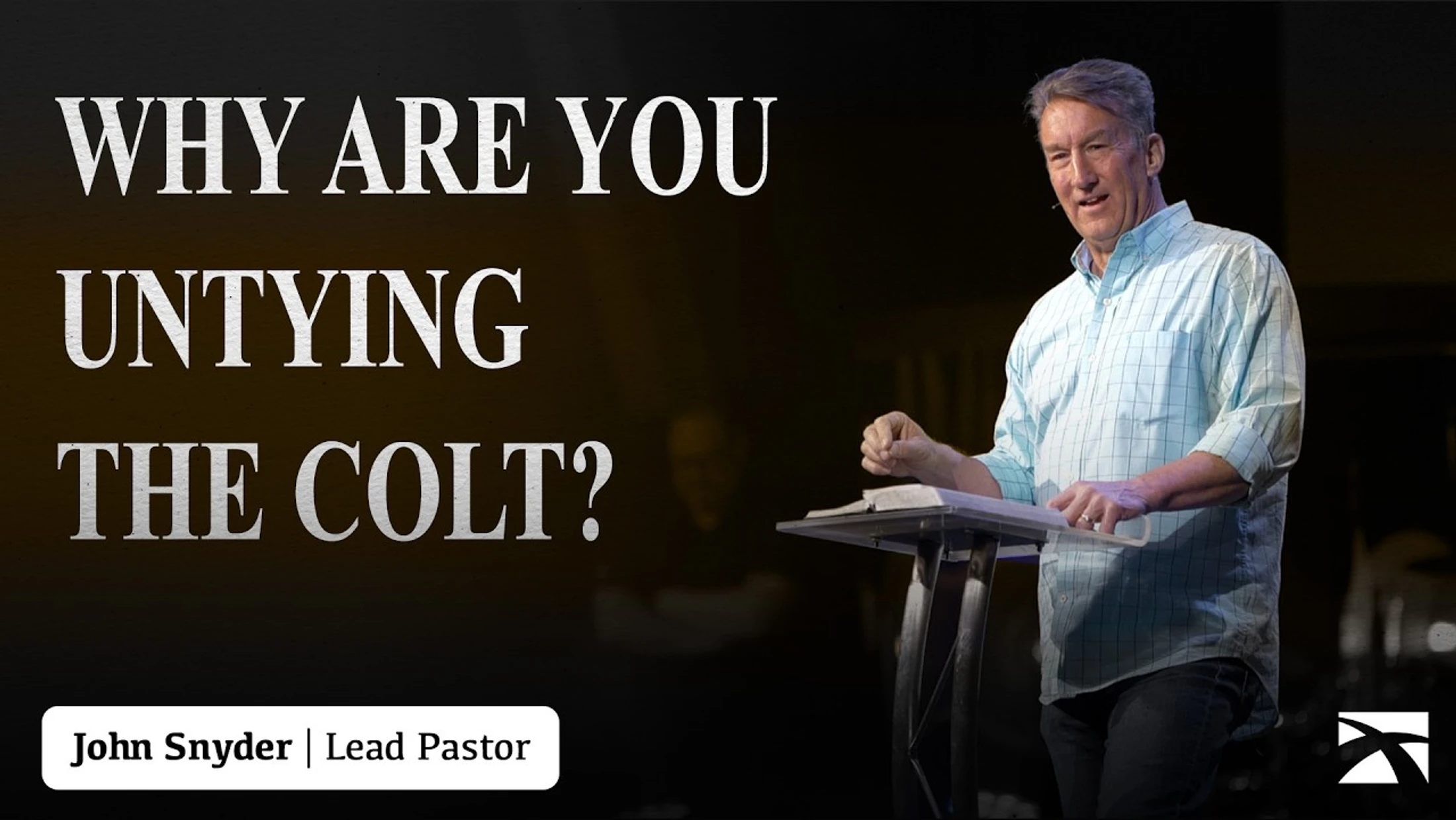 Why Are You Untying the Colt?