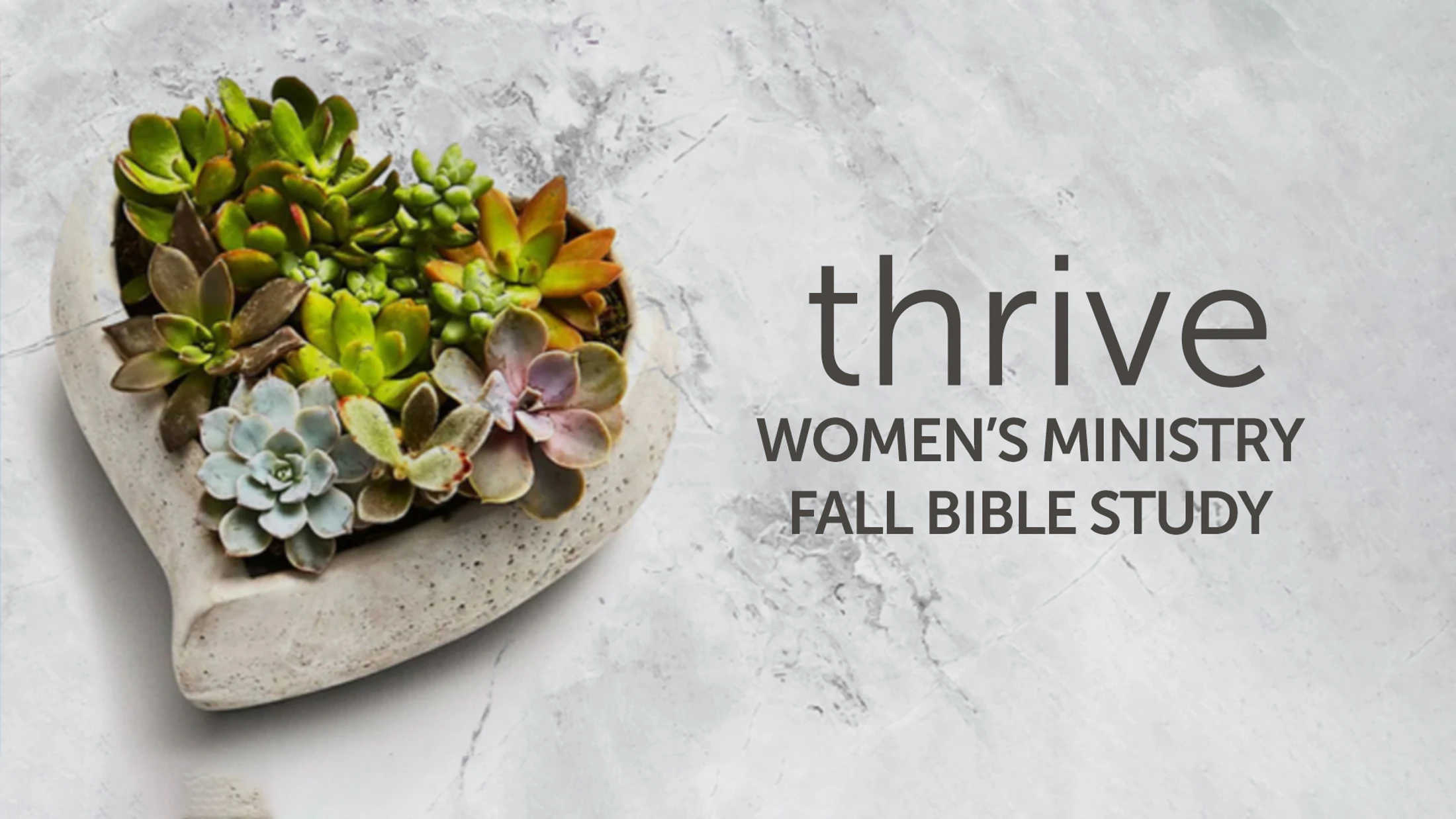 A heart-shaped planter filled with colorful succulents on a gray background. Text reads: thrive, Women's Ministry Fall Bible Study.