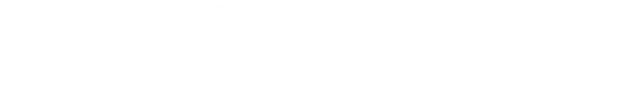 Main Logo
