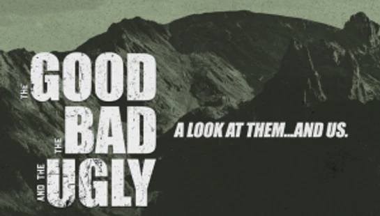 THE GOOD, THE BAD, AND THE UGLY SERIES
