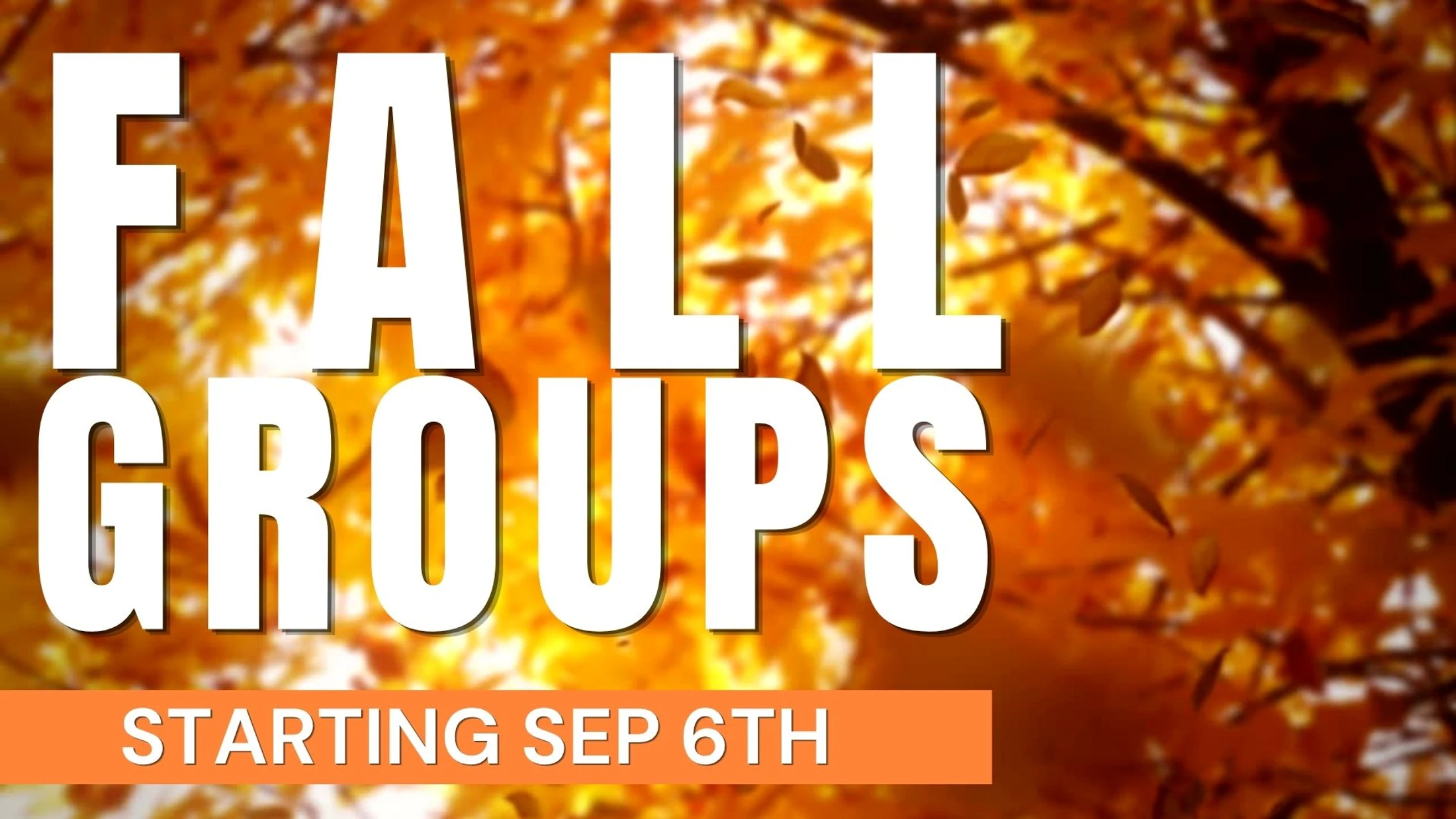 Fall Groups