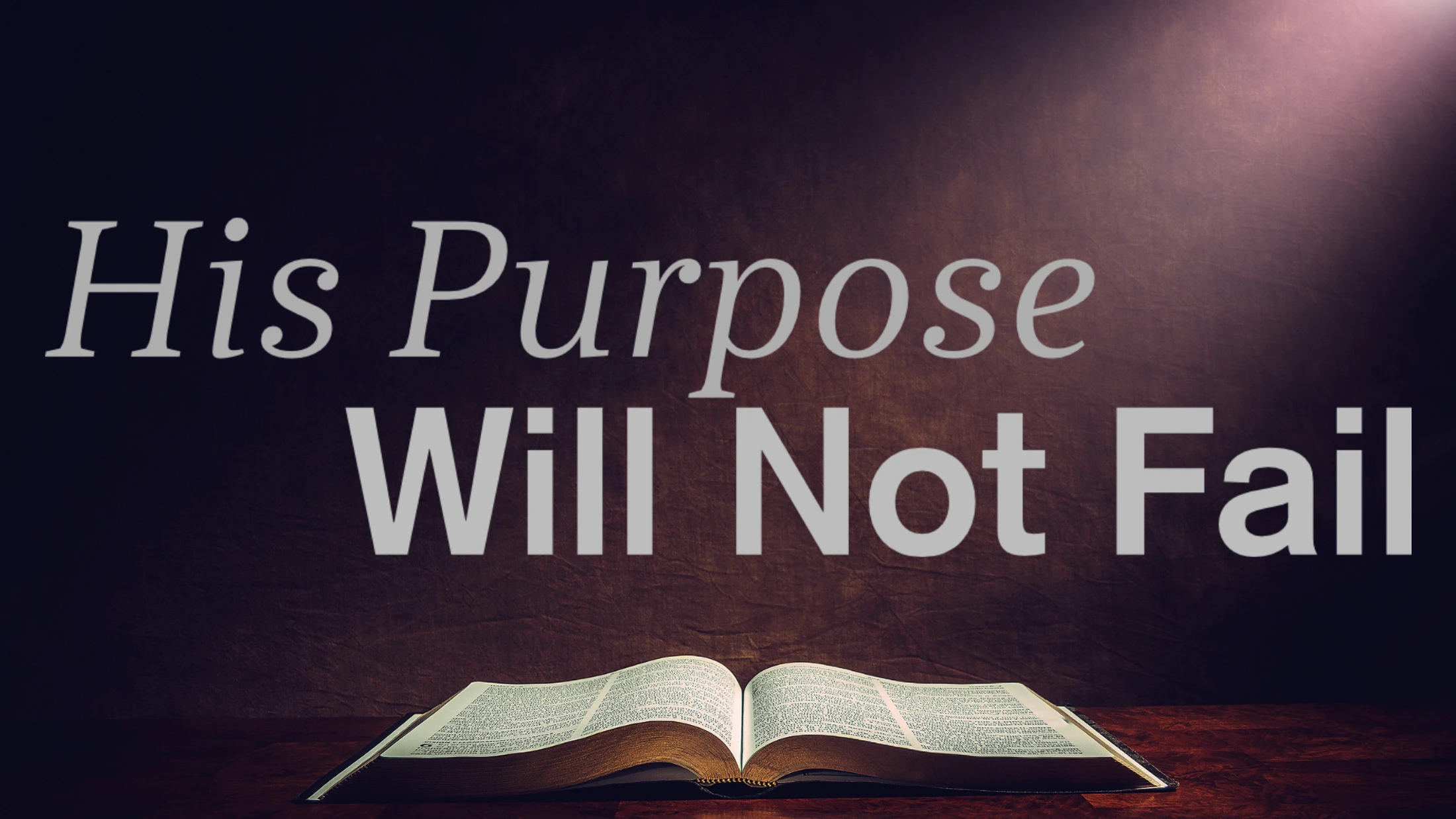 His Purpose Will Not Fail