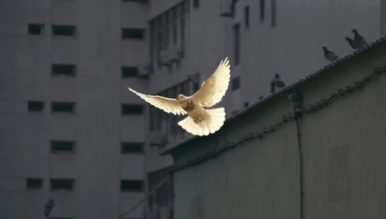 Holy Spirit - Discover His presence. Experience His power.&nbsp;