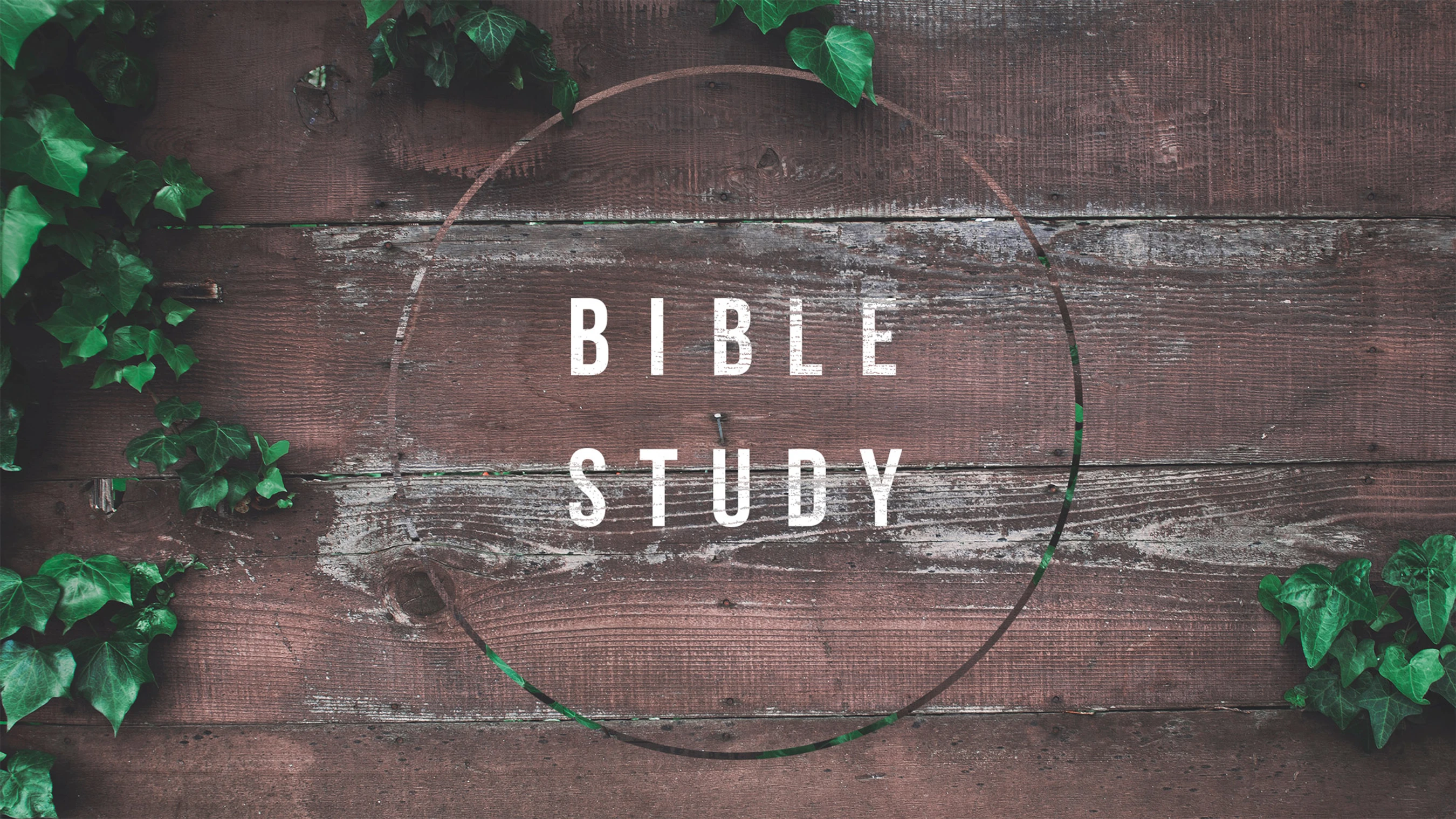 The words 'Bible Study' in a white distressed font on a dark rustic wood background, framed by a thin circle and green ivy leaves in the corners.