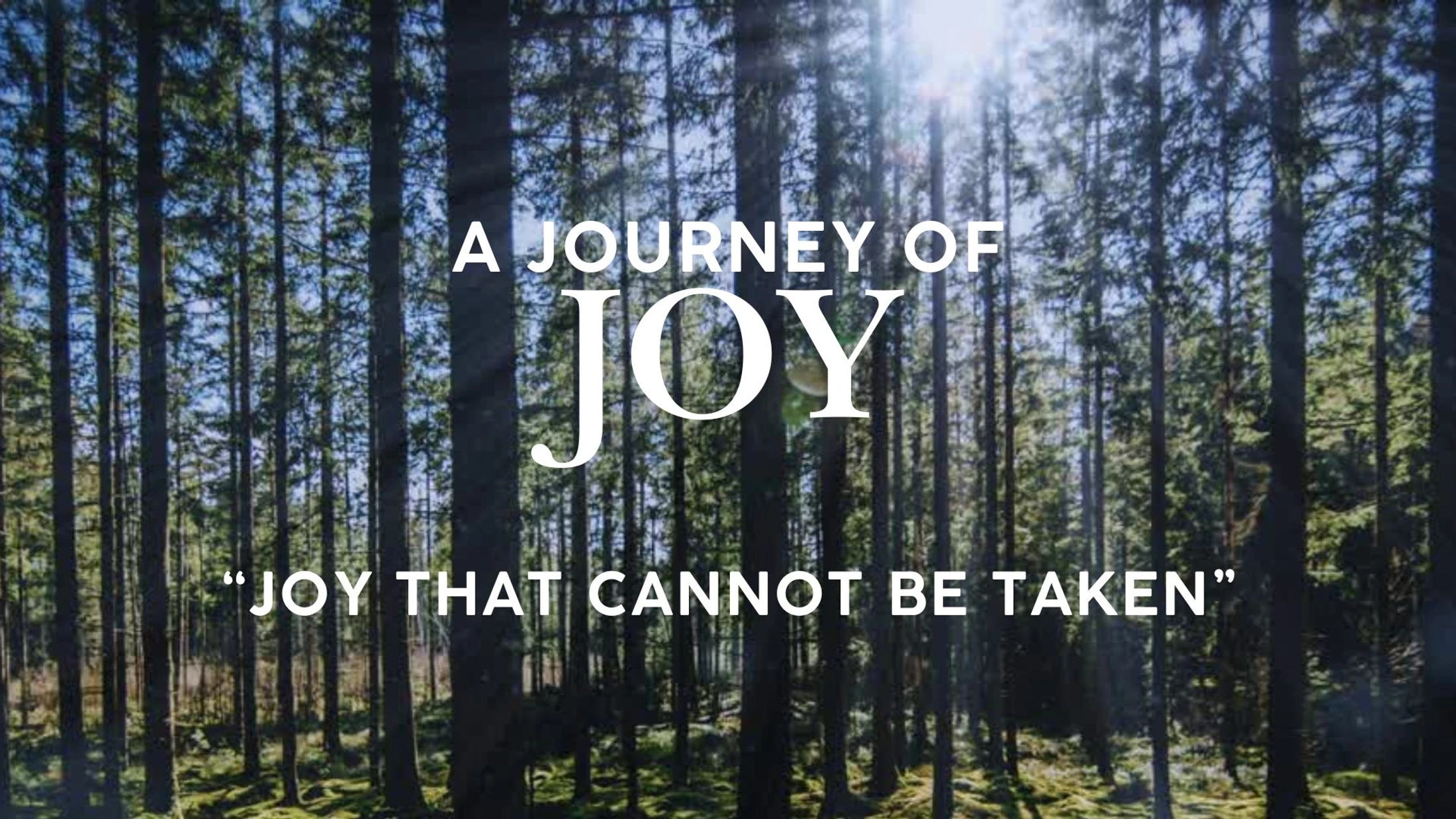 Joy That Cannot Be Taken