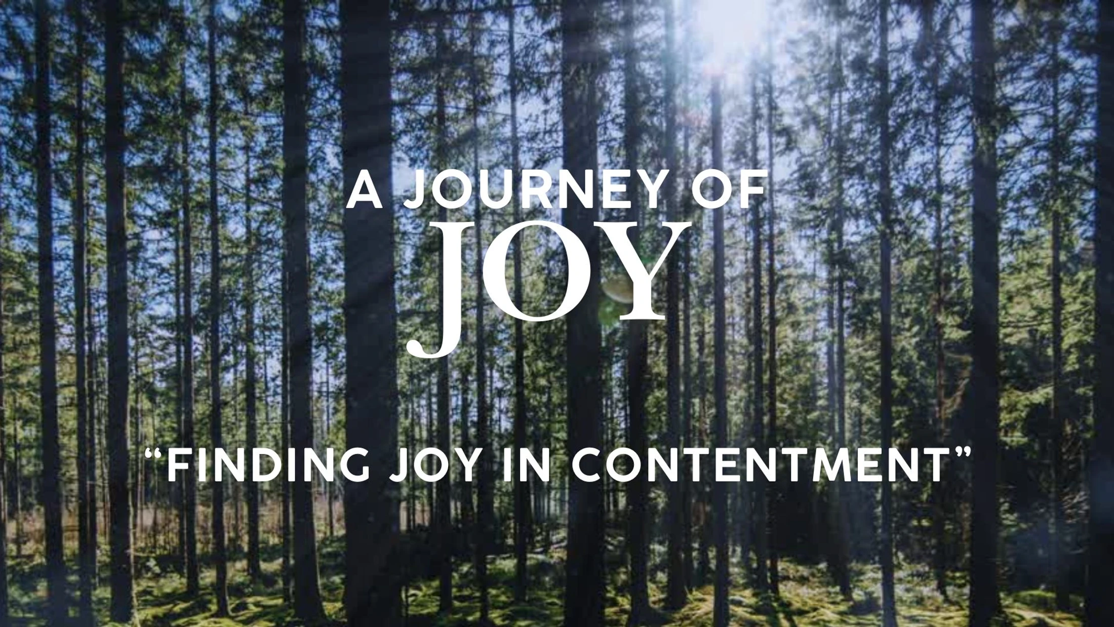 Finding Joy in Contentment