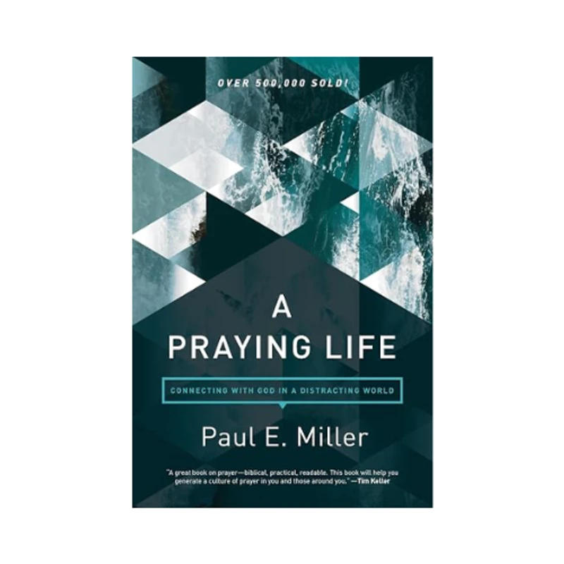 The book cover for 'A Praying Life' by Paul E. Miller. The title is over a geometric design of teal triangles and crashing ocean waves.