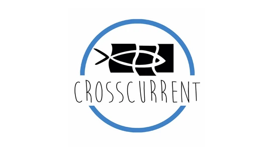 CrossCurrent