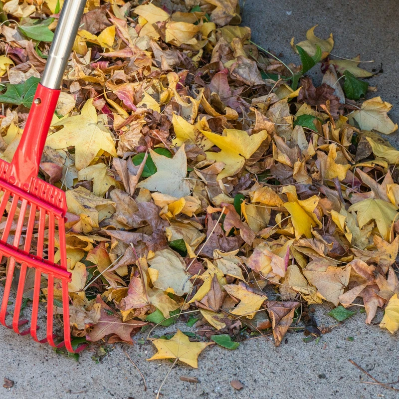 a red rake laying on top of a pile of leaves