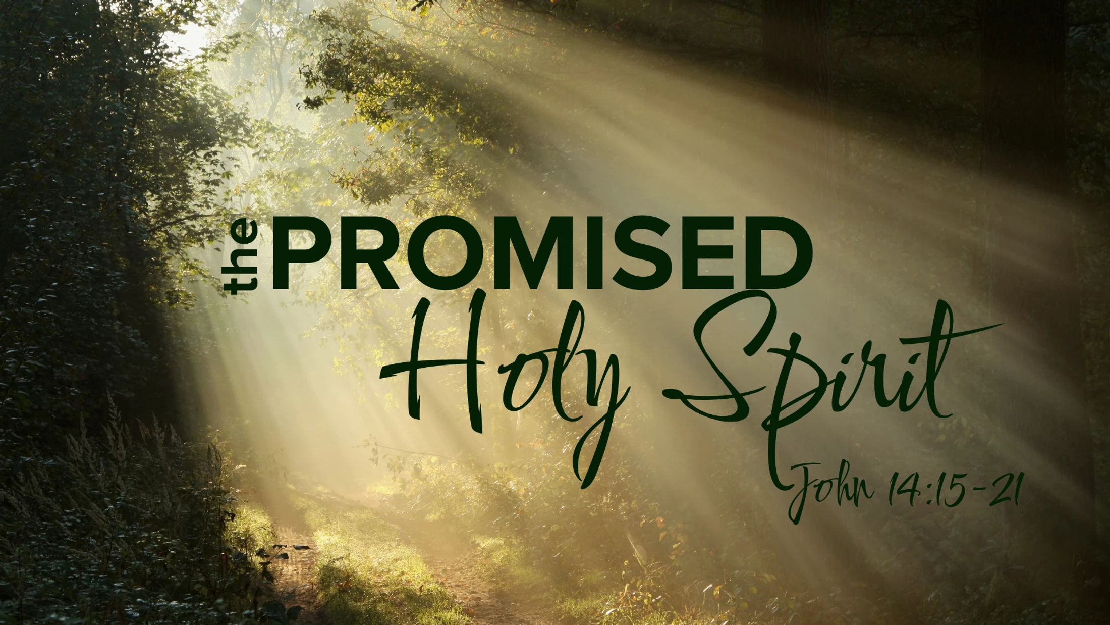 The Promised Holy Spirit