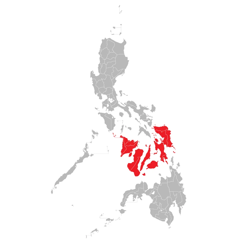 A political map of the Philippines with its provinces outlined. The Visayas island group in the center is highlighted in bright red.