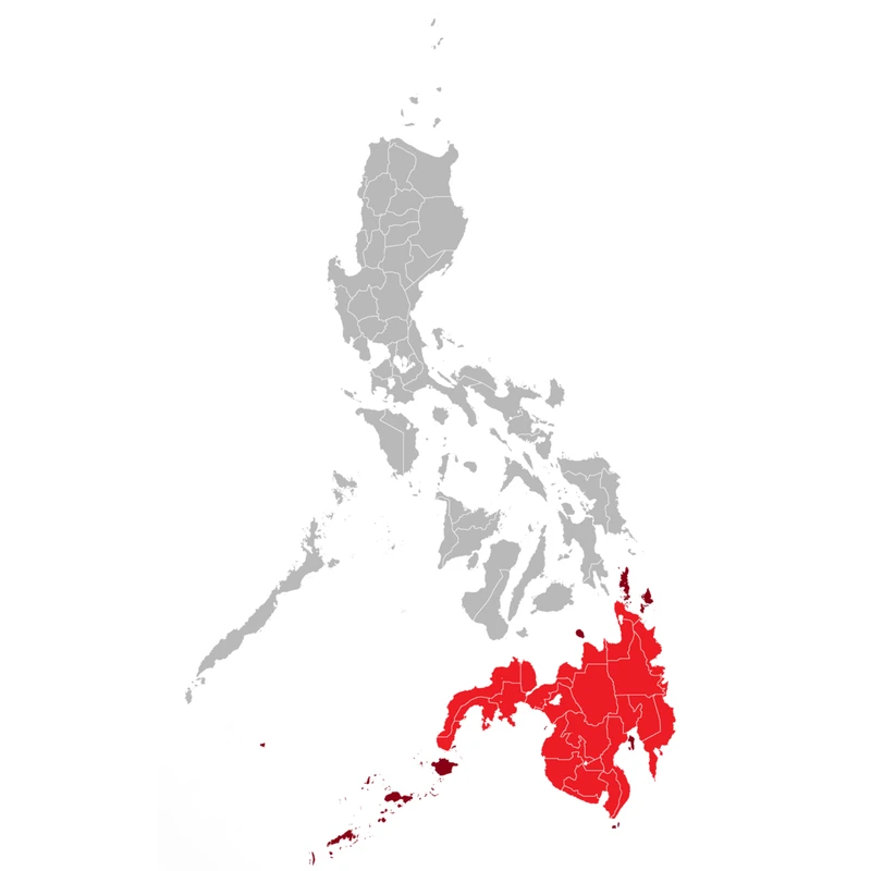 Mindanao <br>(Southern Philippines)