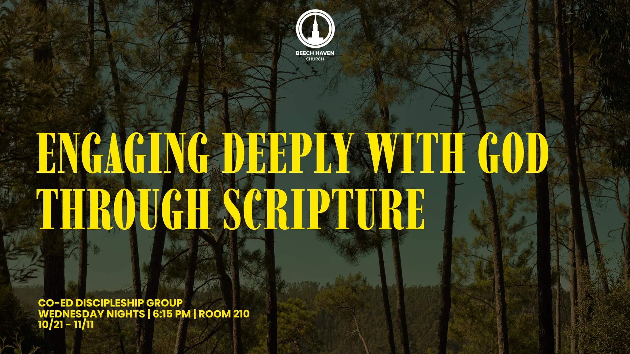 Promotional graphic for a Beech Haven Church discipleship group. Yellow text over a photo of a forest reads 'Engaging Deeply with God Through Scripture'.