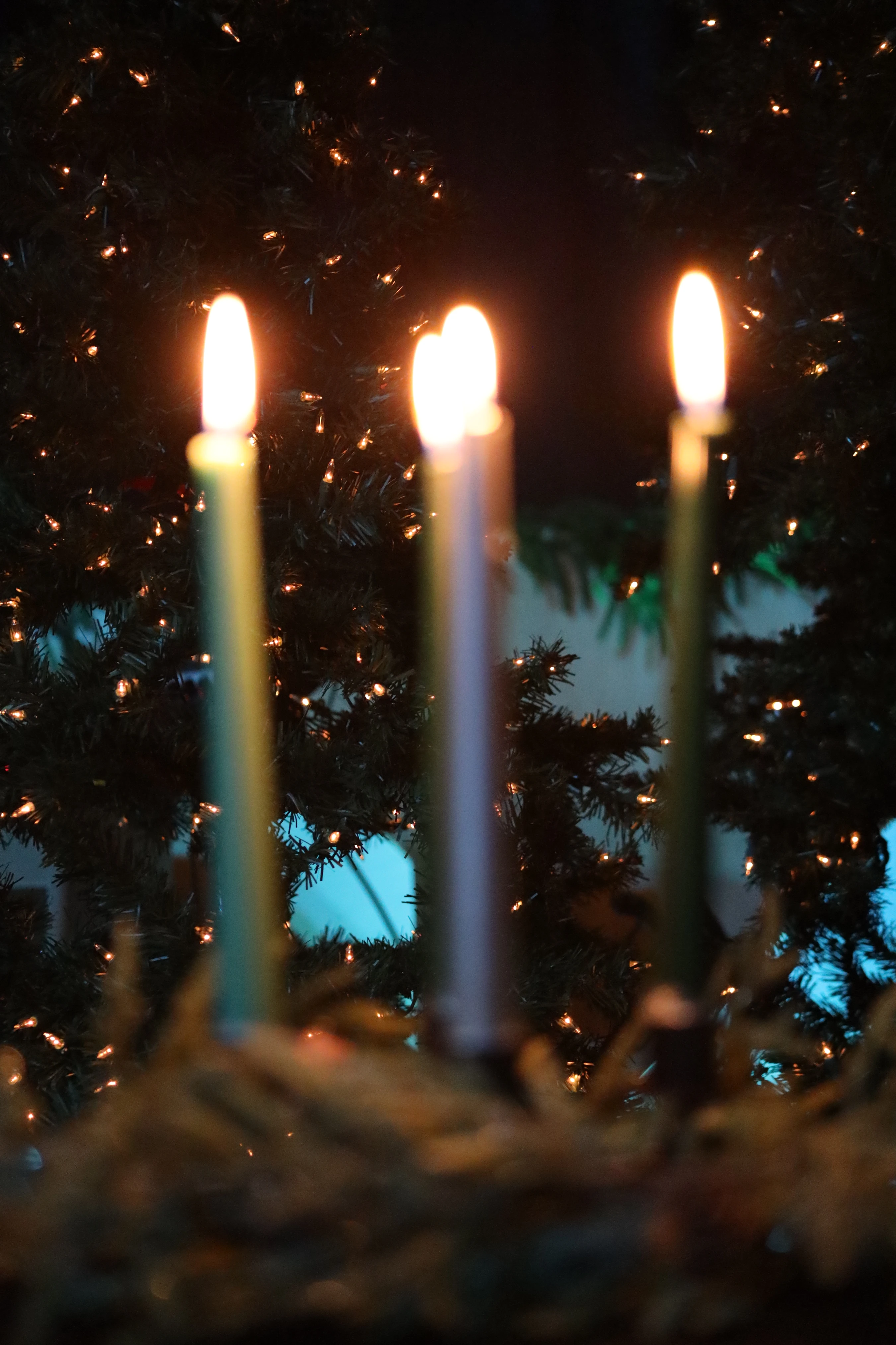 Three tall, slender candles are lit, glowing warmly in a dark room. In the background, an out-of-focus Christmas tree is decorated with small, sparkling lights.