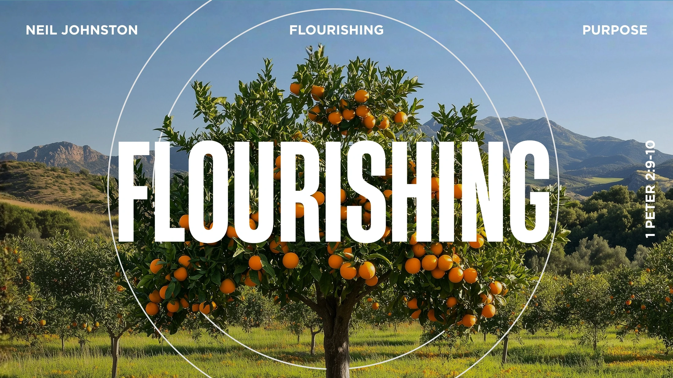 Flourishing | Purpose