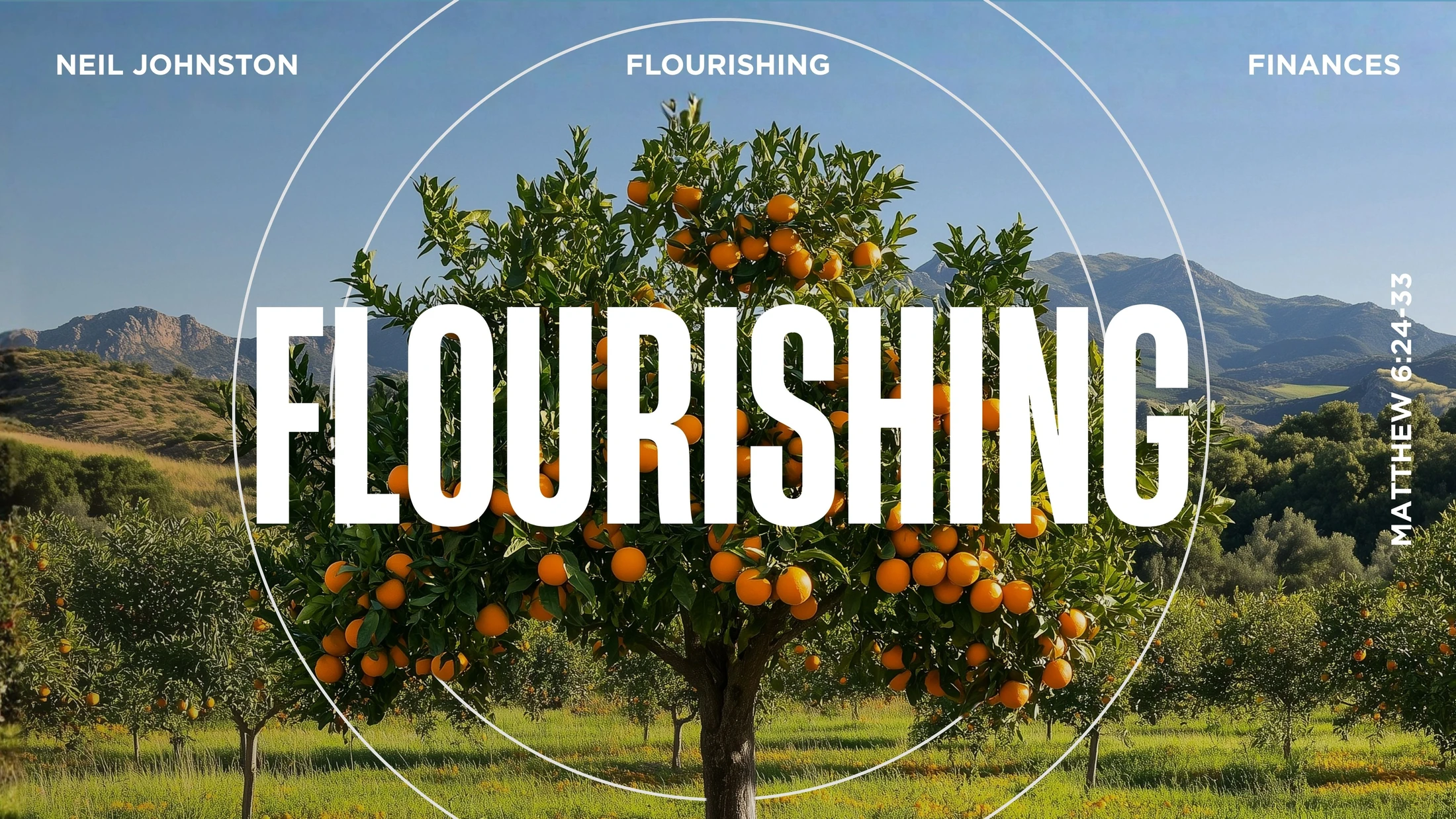 Flourishing | Finances