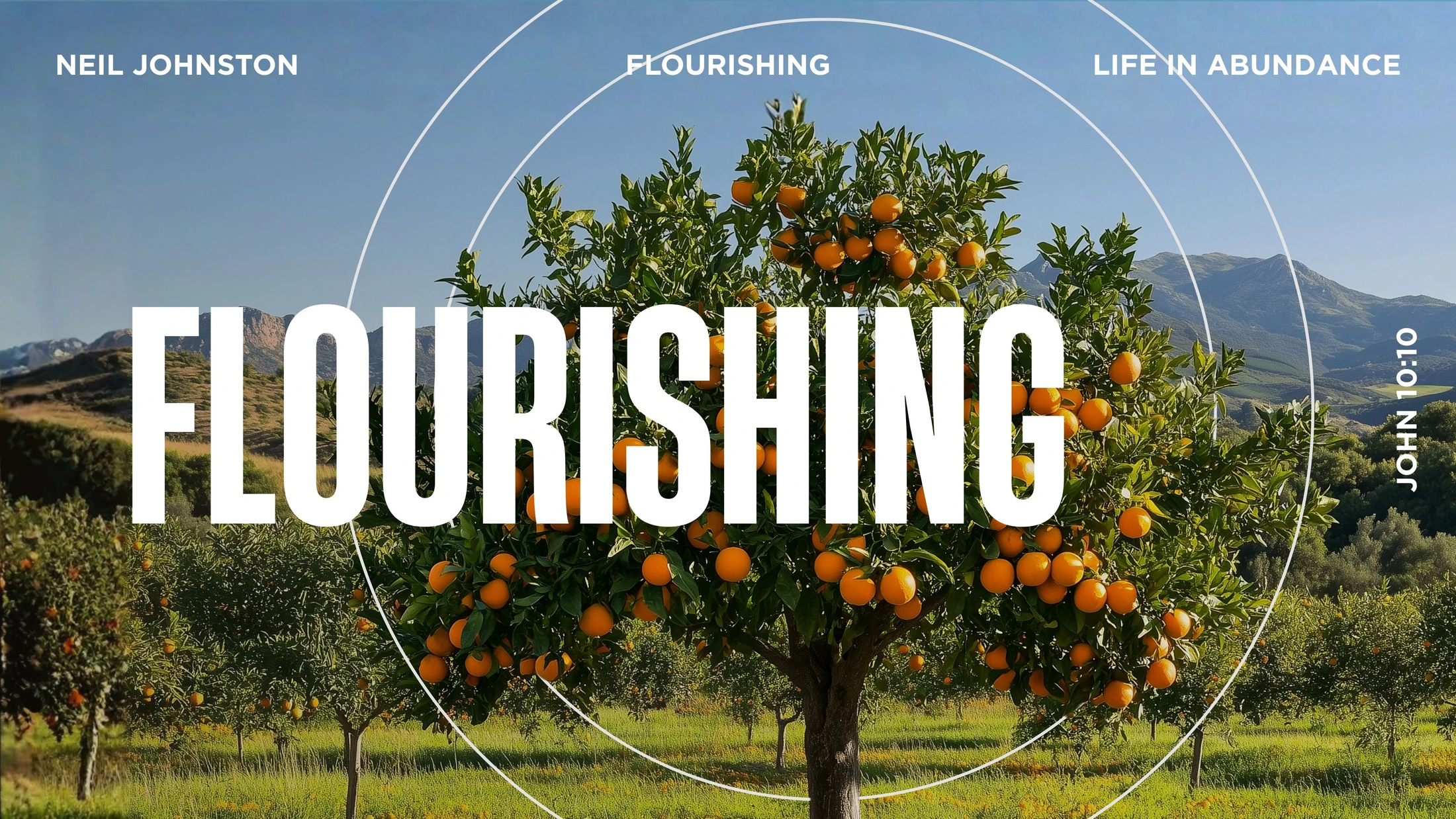 Flourishing | Life in Abundance