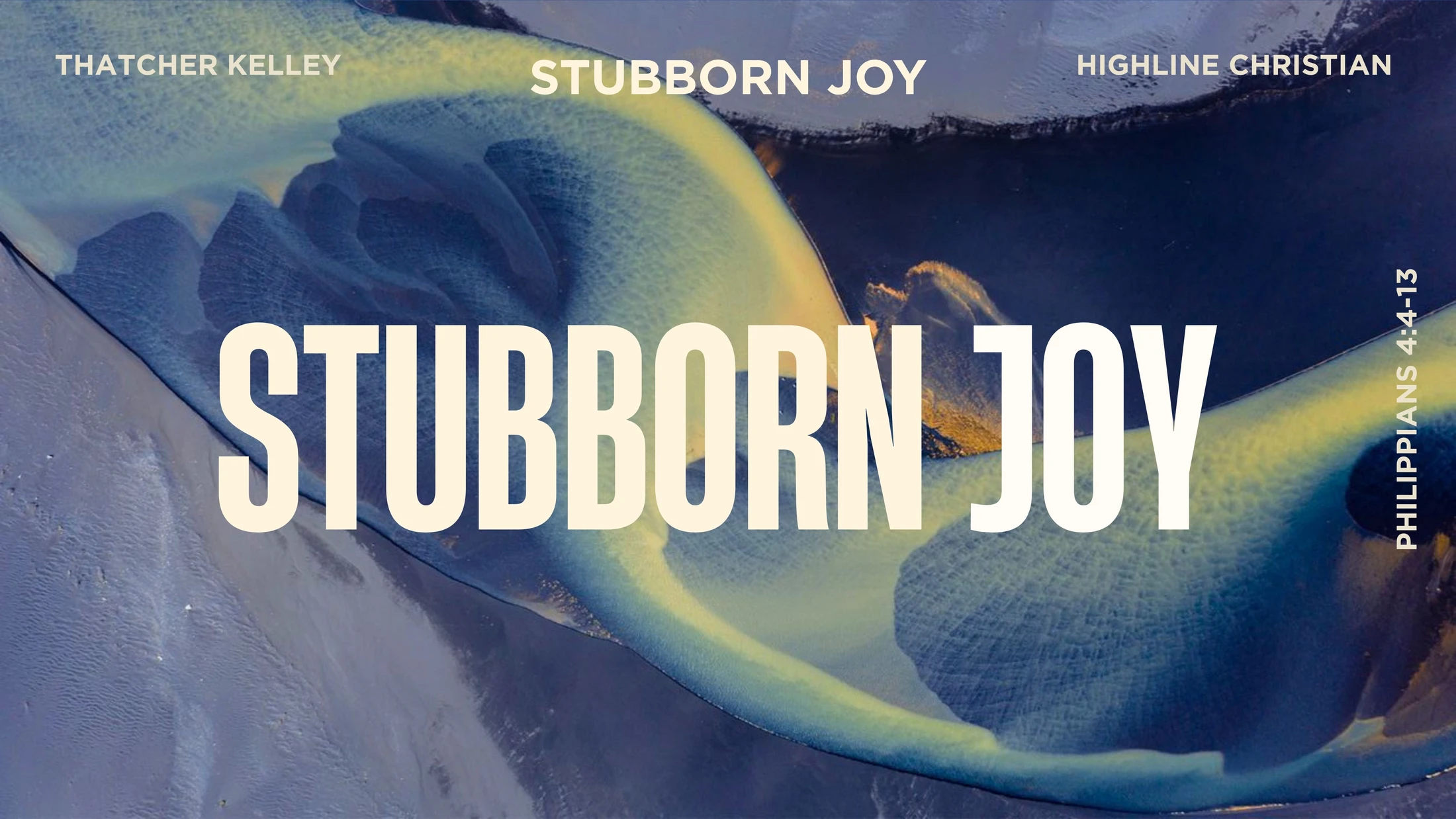 Stubborn Joy