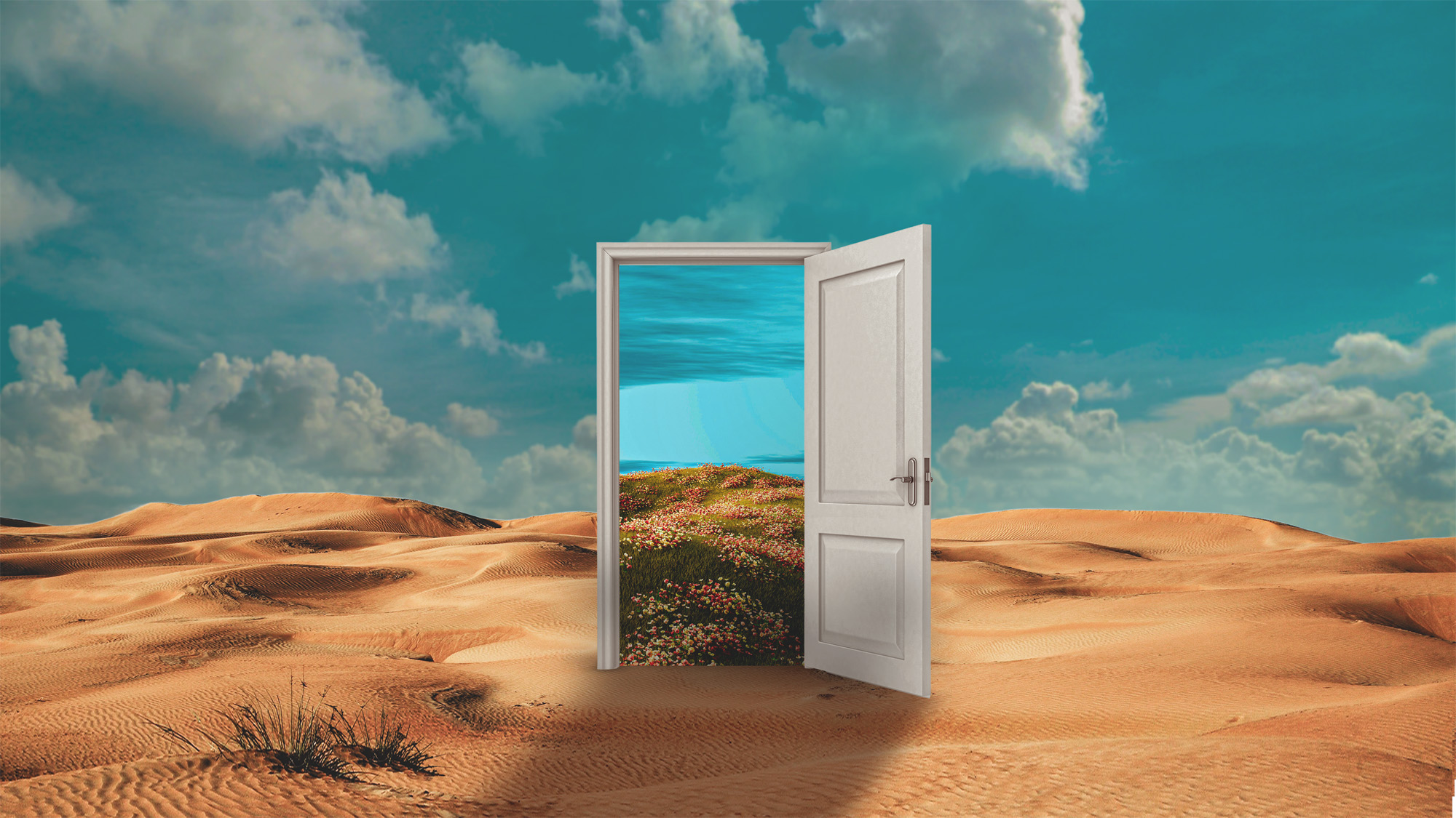 Book of Revelation Bible study resources