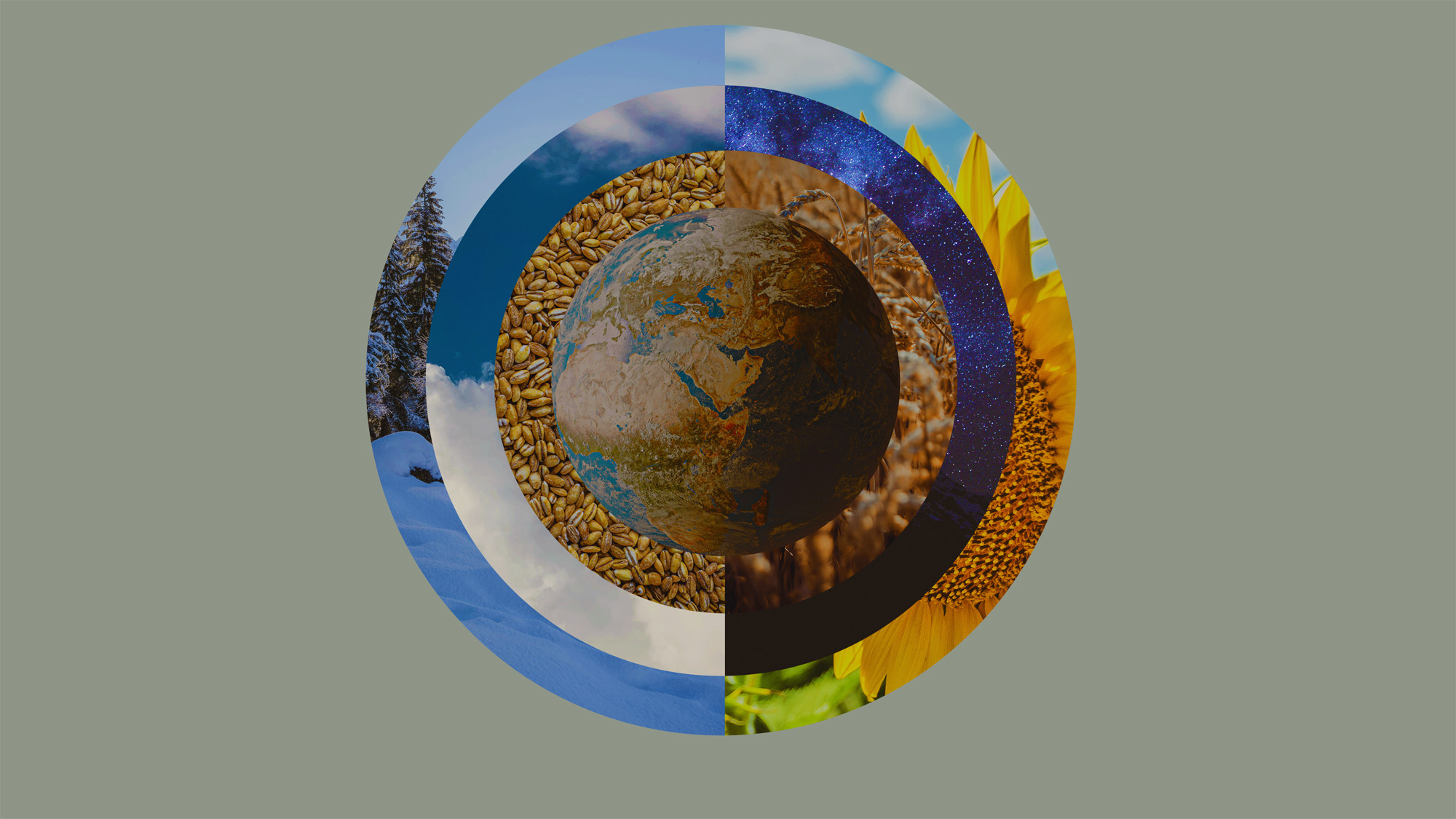 Genesis Bible resources