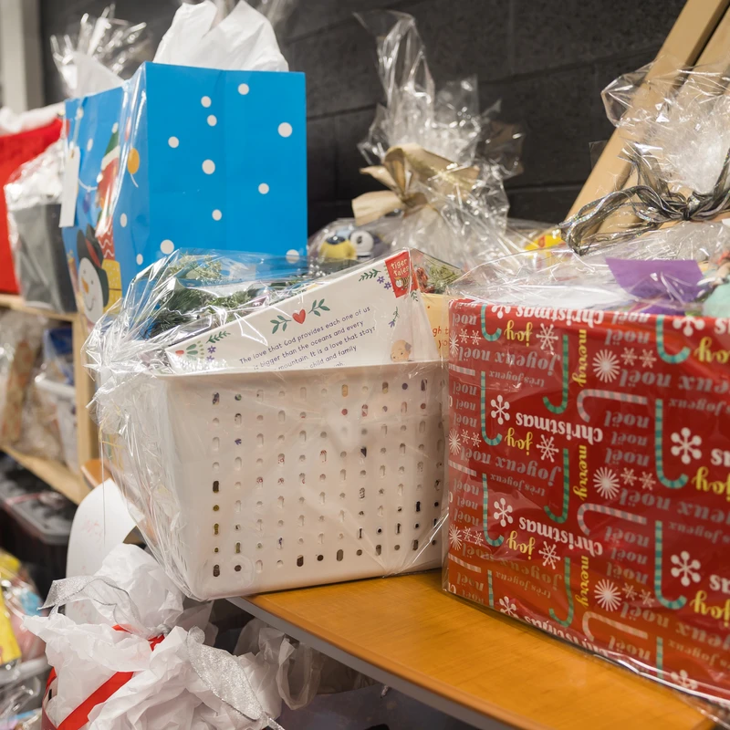 <b>Option 2: Help with Hamper Delivery </b>