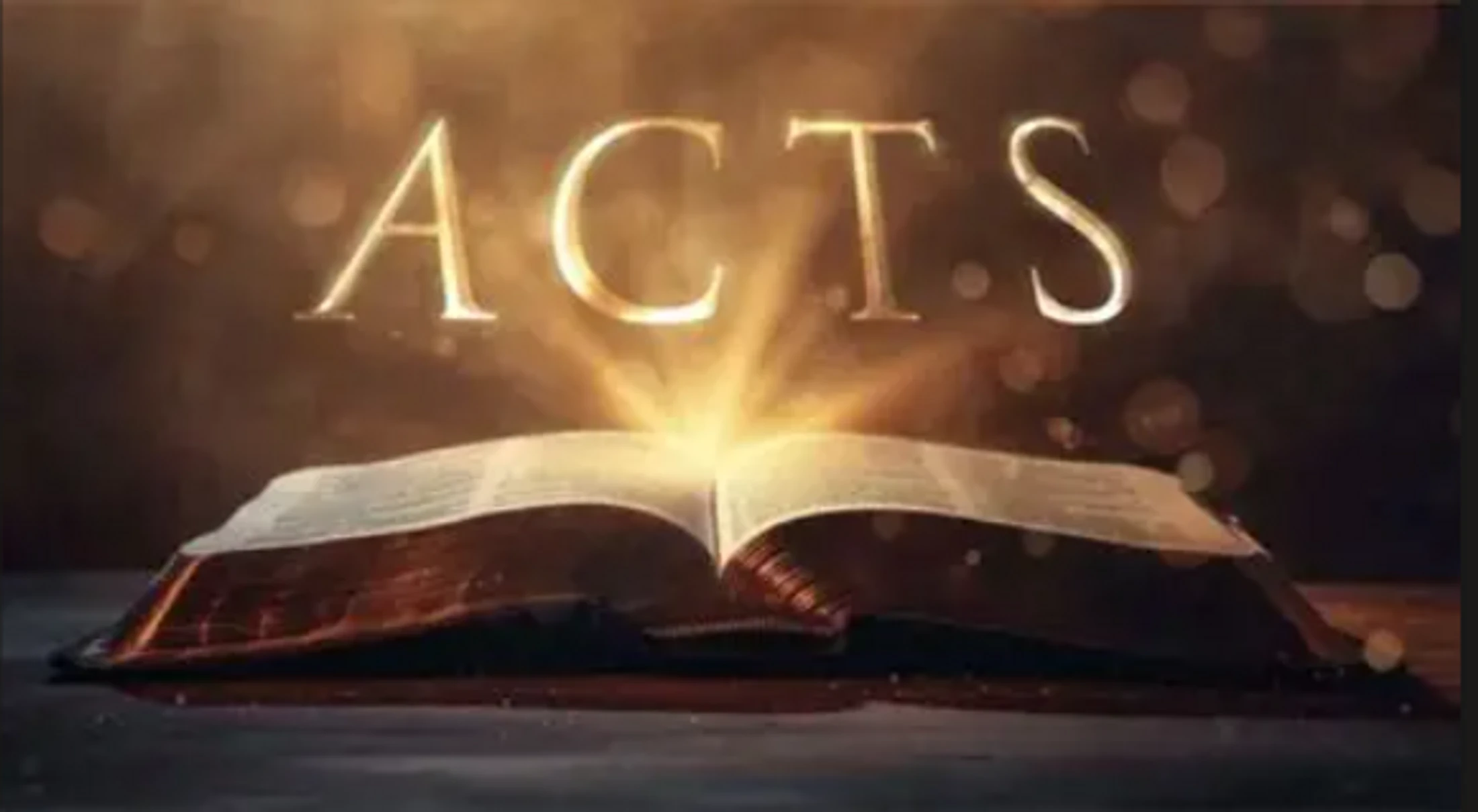 Women's Fall Bible Study