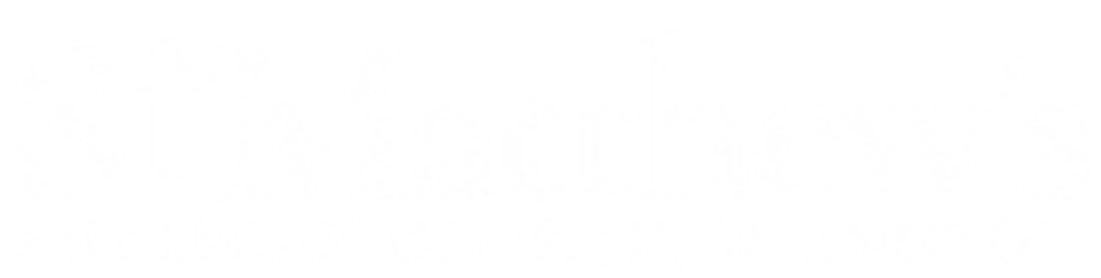 Main Logo
