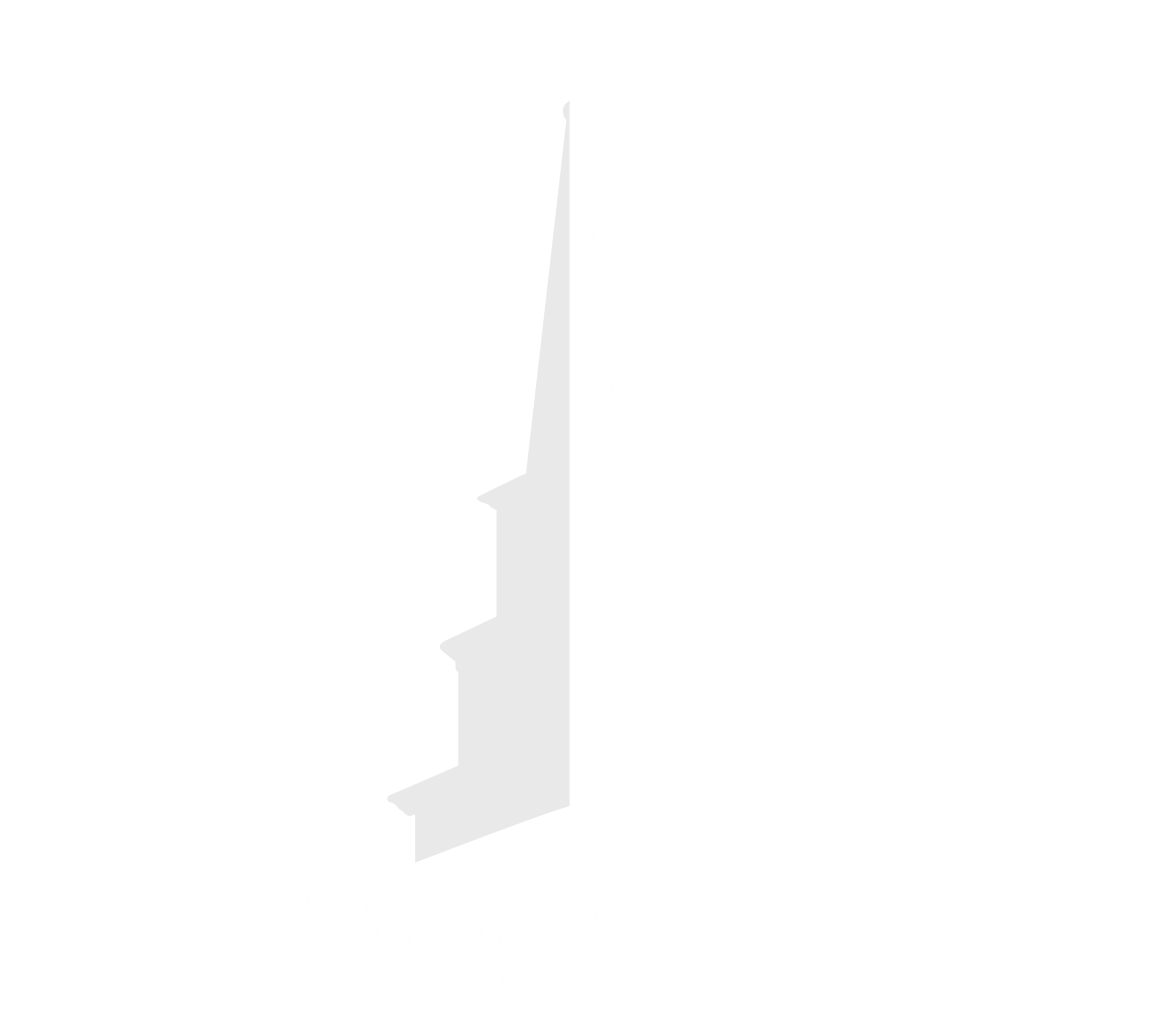 Main Logo
