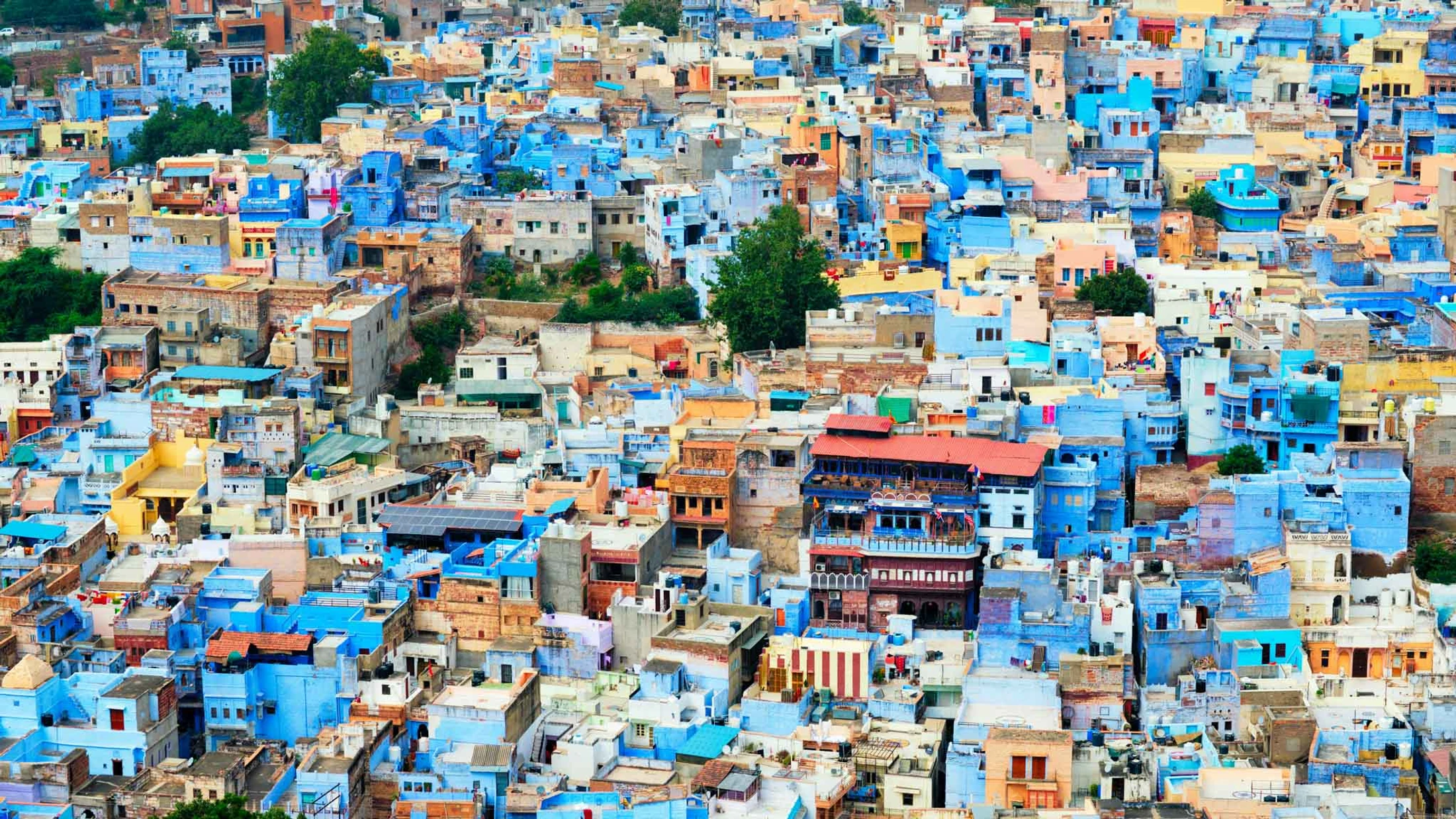 An aerial view of Jodhpur, India, known as the Blue City, showing a dense cluster of buildings painted in various shades of blue, orange, and white.