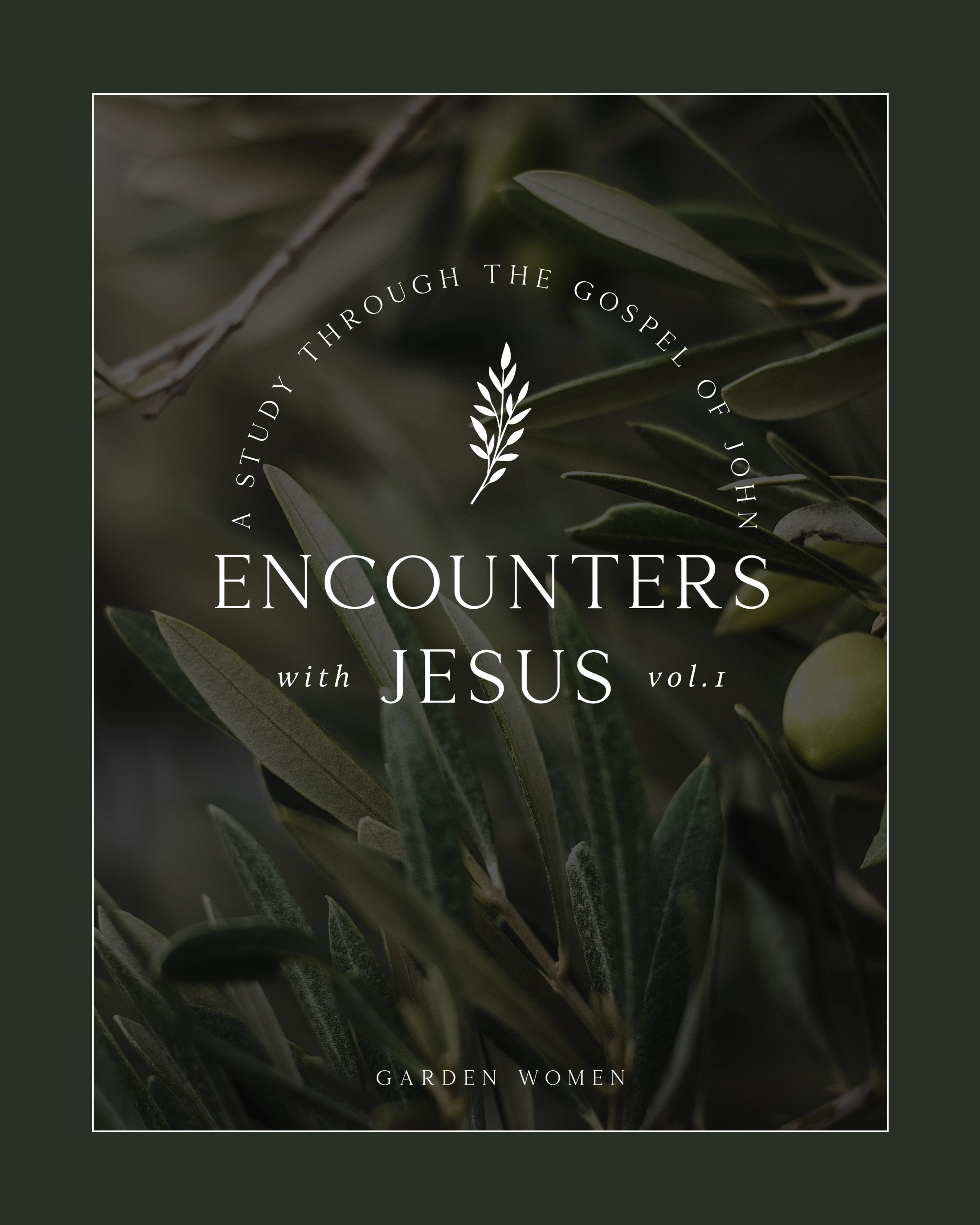 The cover for a Bible study titled 'Encounters with Jesus,' featuring white text over a soft-focus photo of green olive branches.