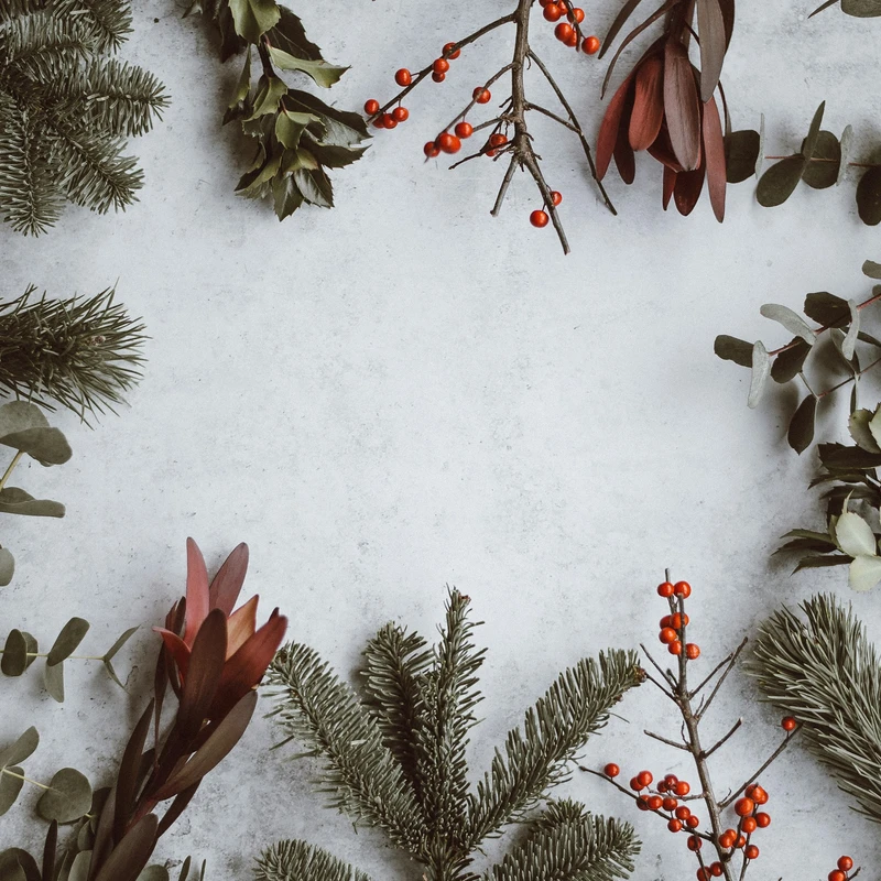 Click here to download a FREE Christmas Activity Kit to do with your family this Christmas season!
