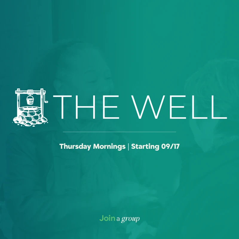 THE WELL&nbsp;