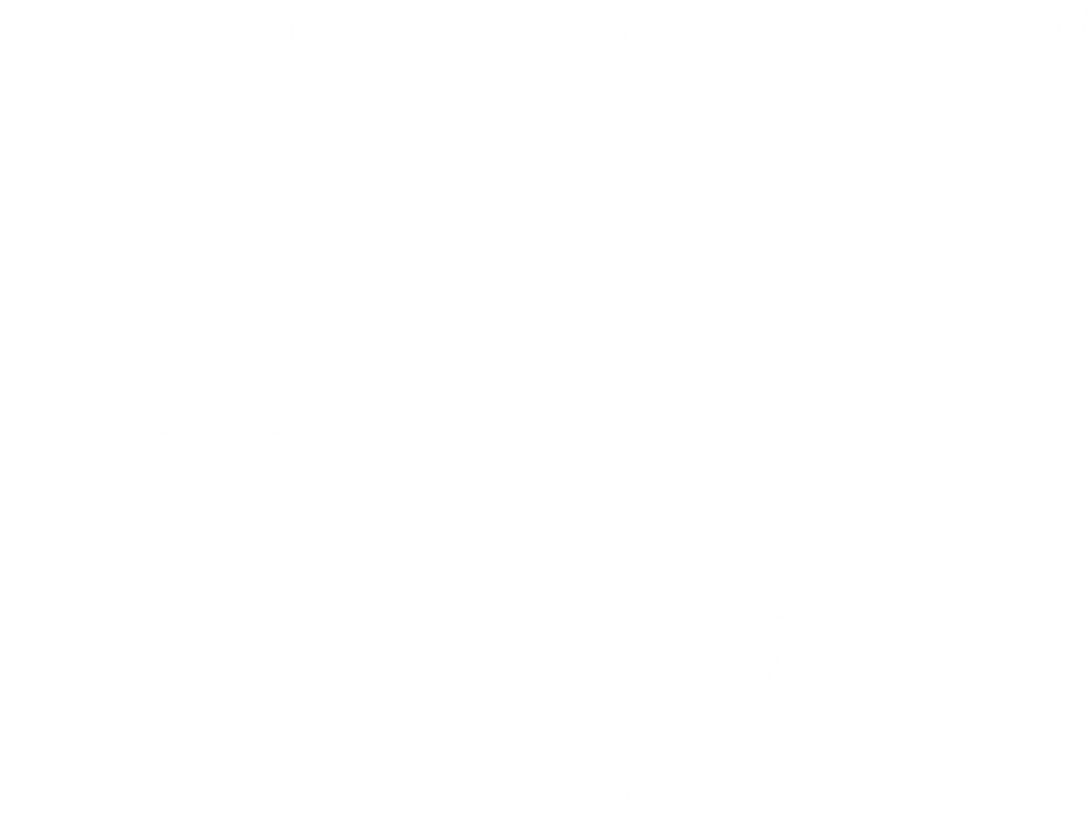 Main Logo
