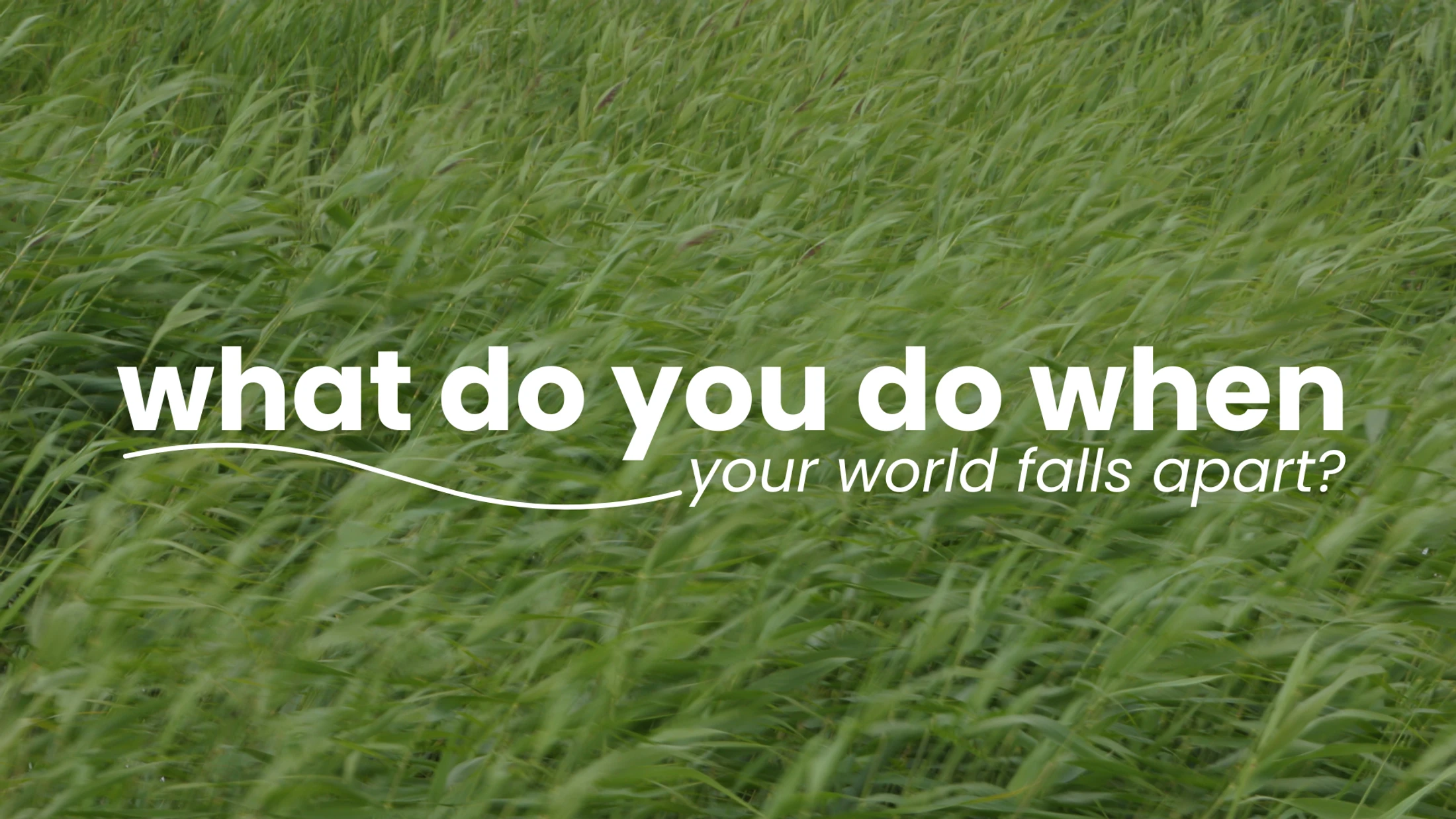 What to Do When Your World Falls Apart?