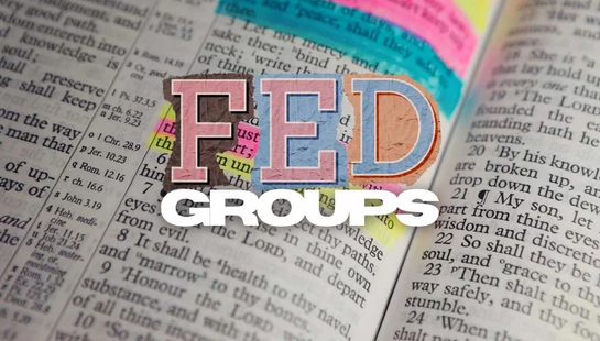 F.E.D GROUPS