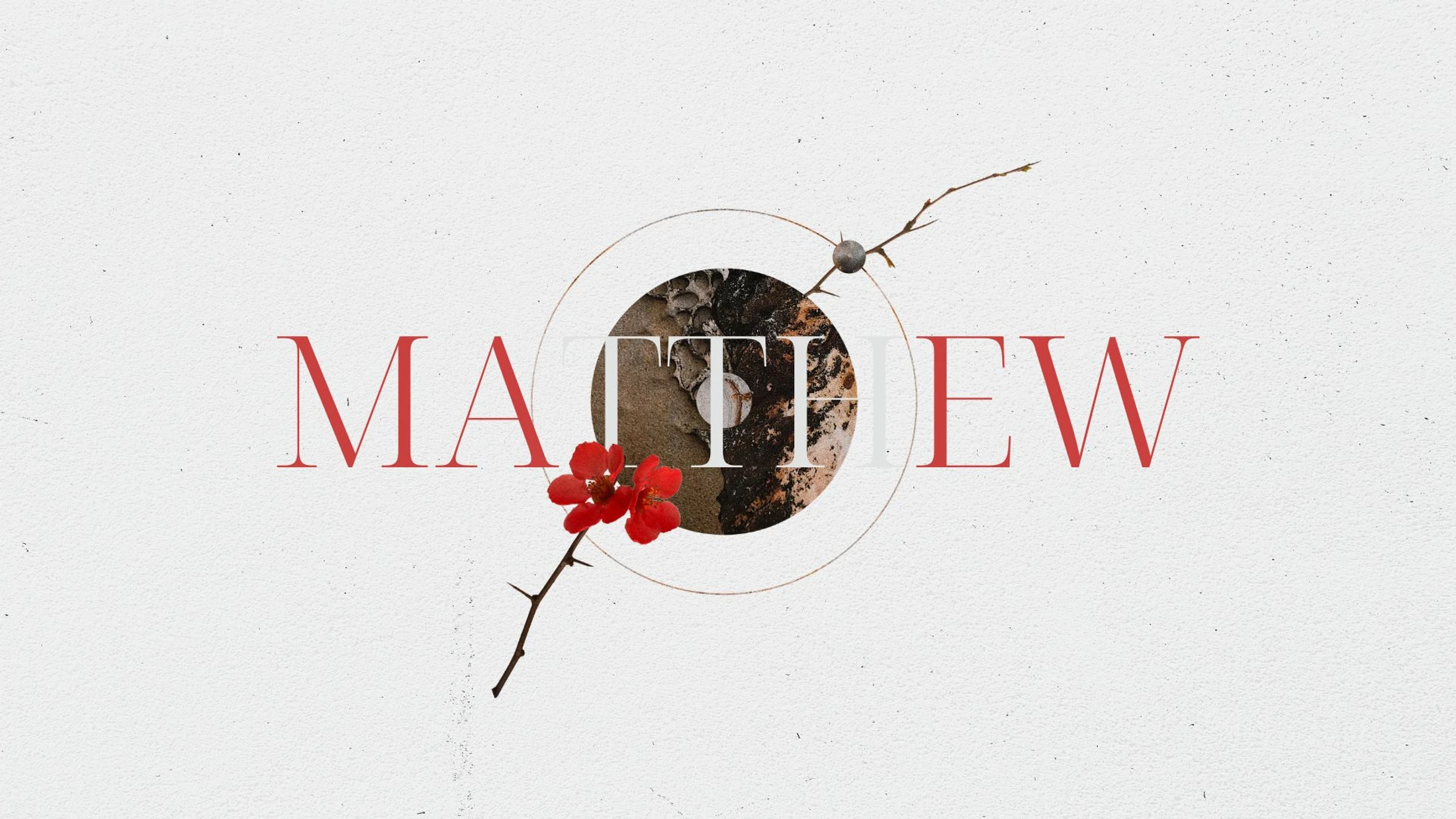 Will You Worship The Son of God? Matthew 14:22-33