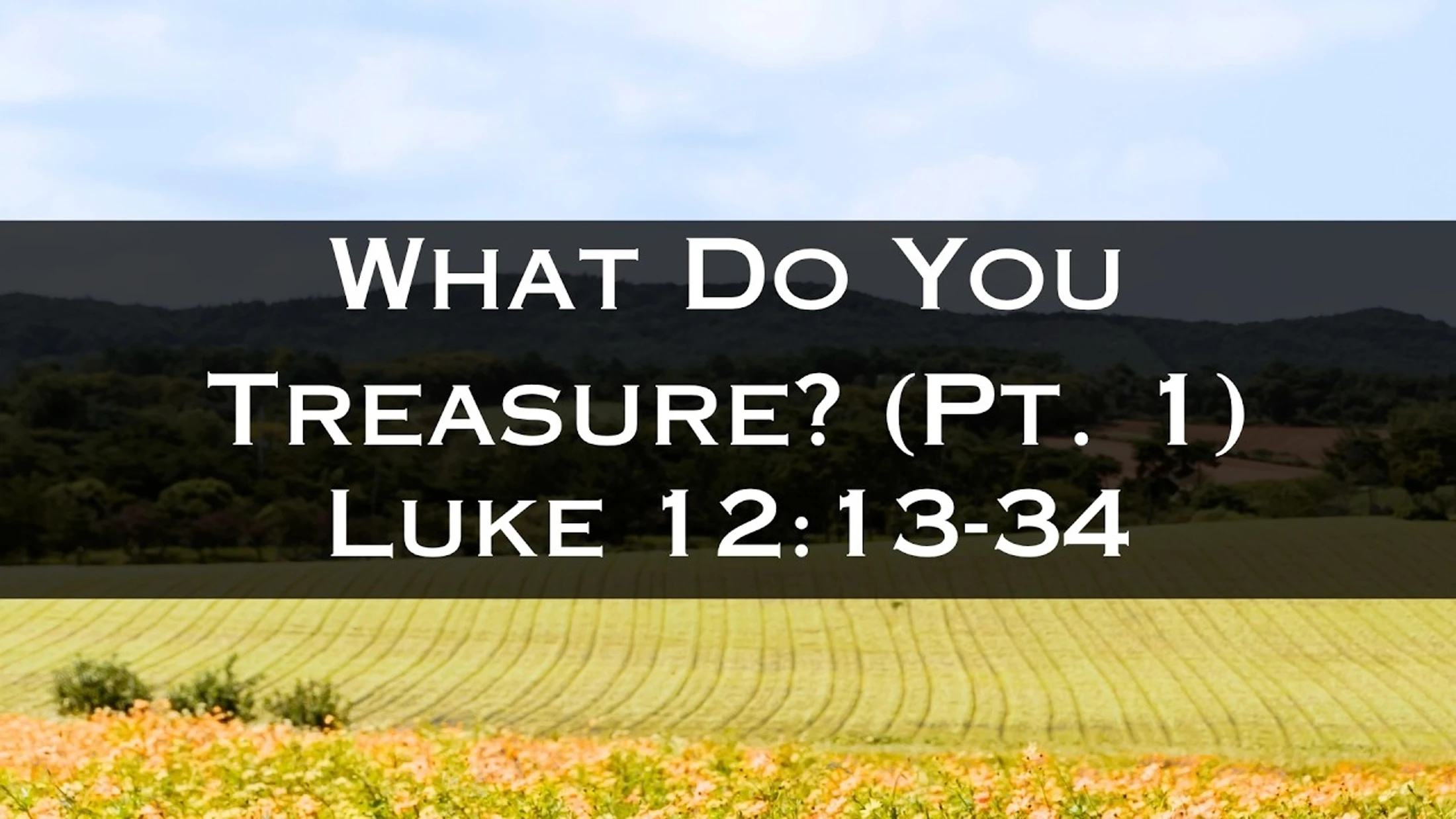 Luke 12:13-34