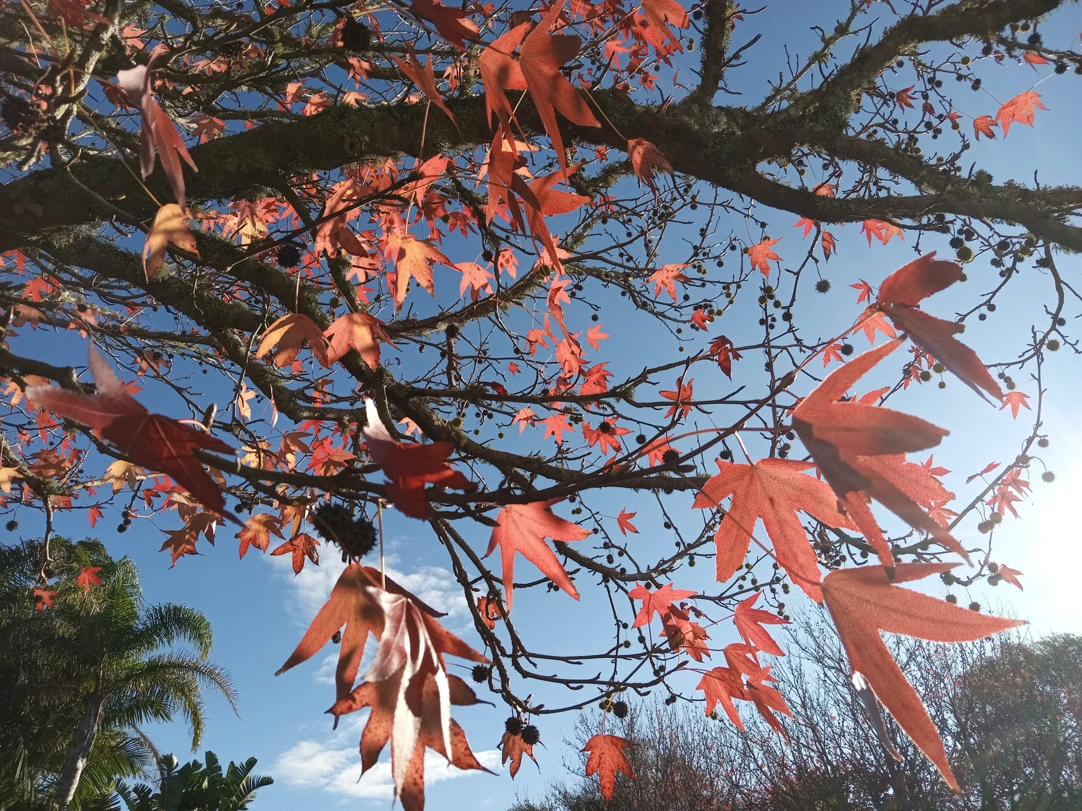 Changing seasons
