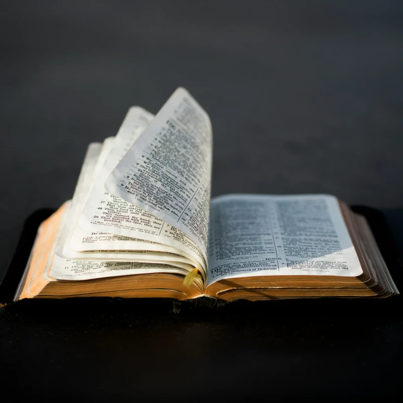 <span class="h3"><span style="color:var(--secondary-color-bg)">Discipleship Hour</span></span>