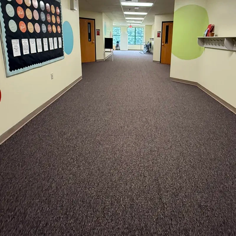 <span class="h5">Children's Hall Carpet</span>