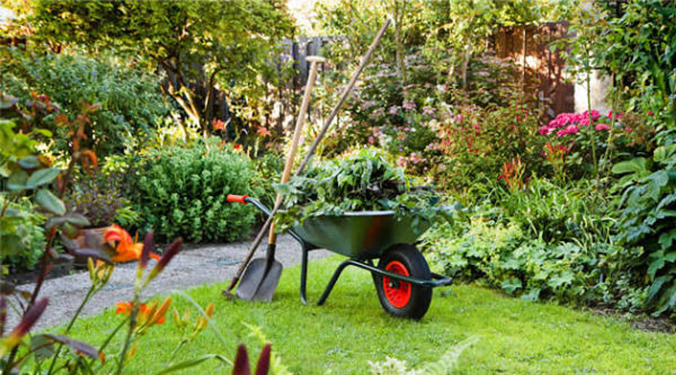 Yard Work - Help Needed!