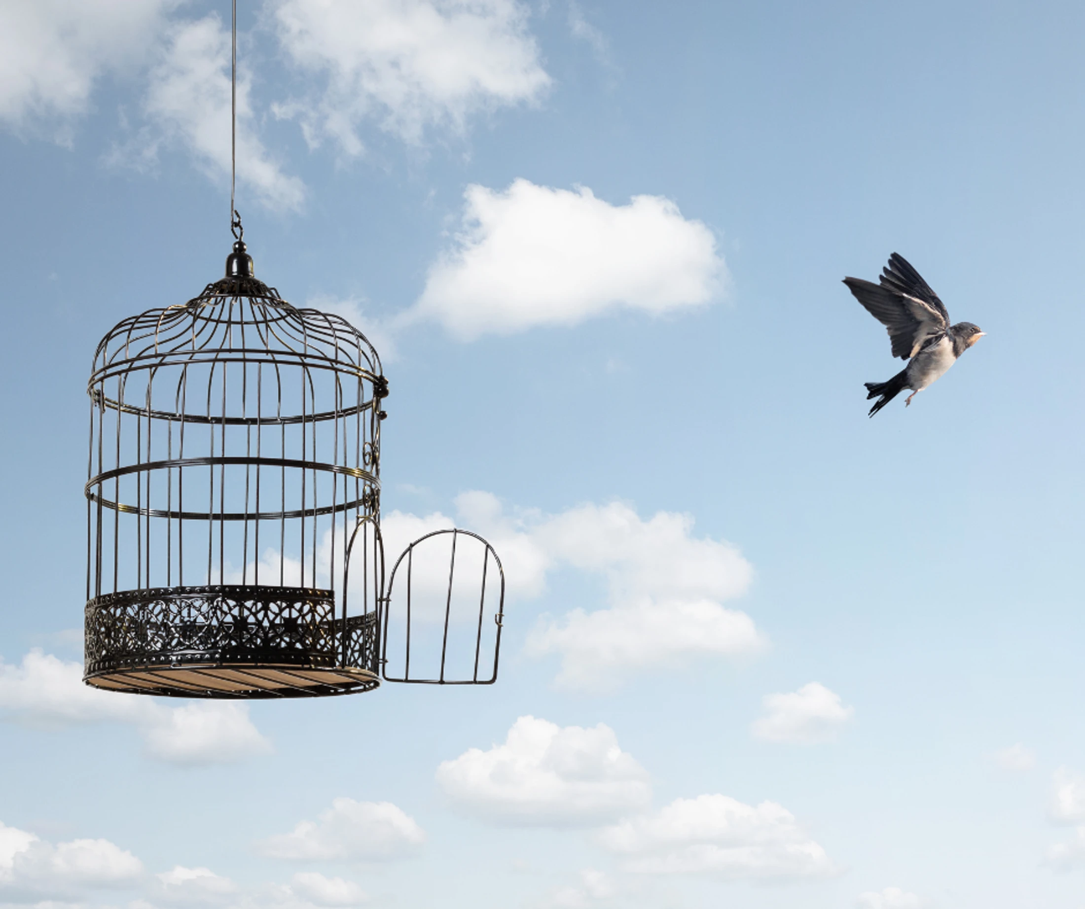 There is Only One Way to Be Free