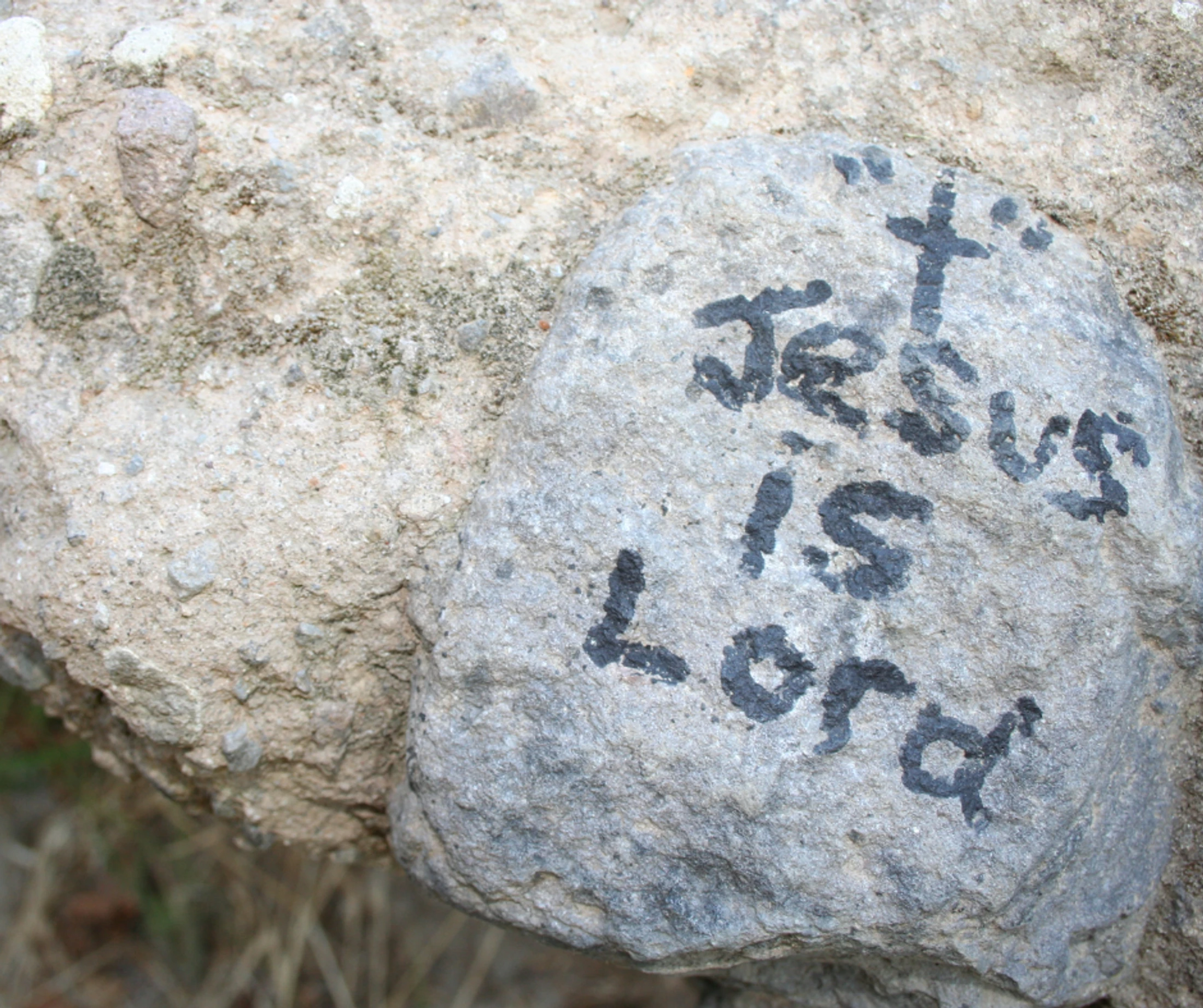 Jesus is God in the Flesh