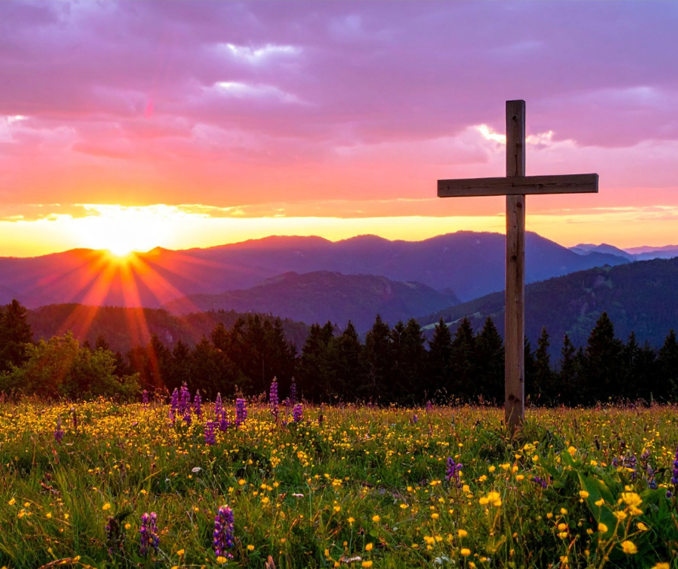 What Does "Firstborn Over All Creation" Mean?