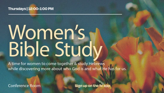 Women's Bible Study - Lunch