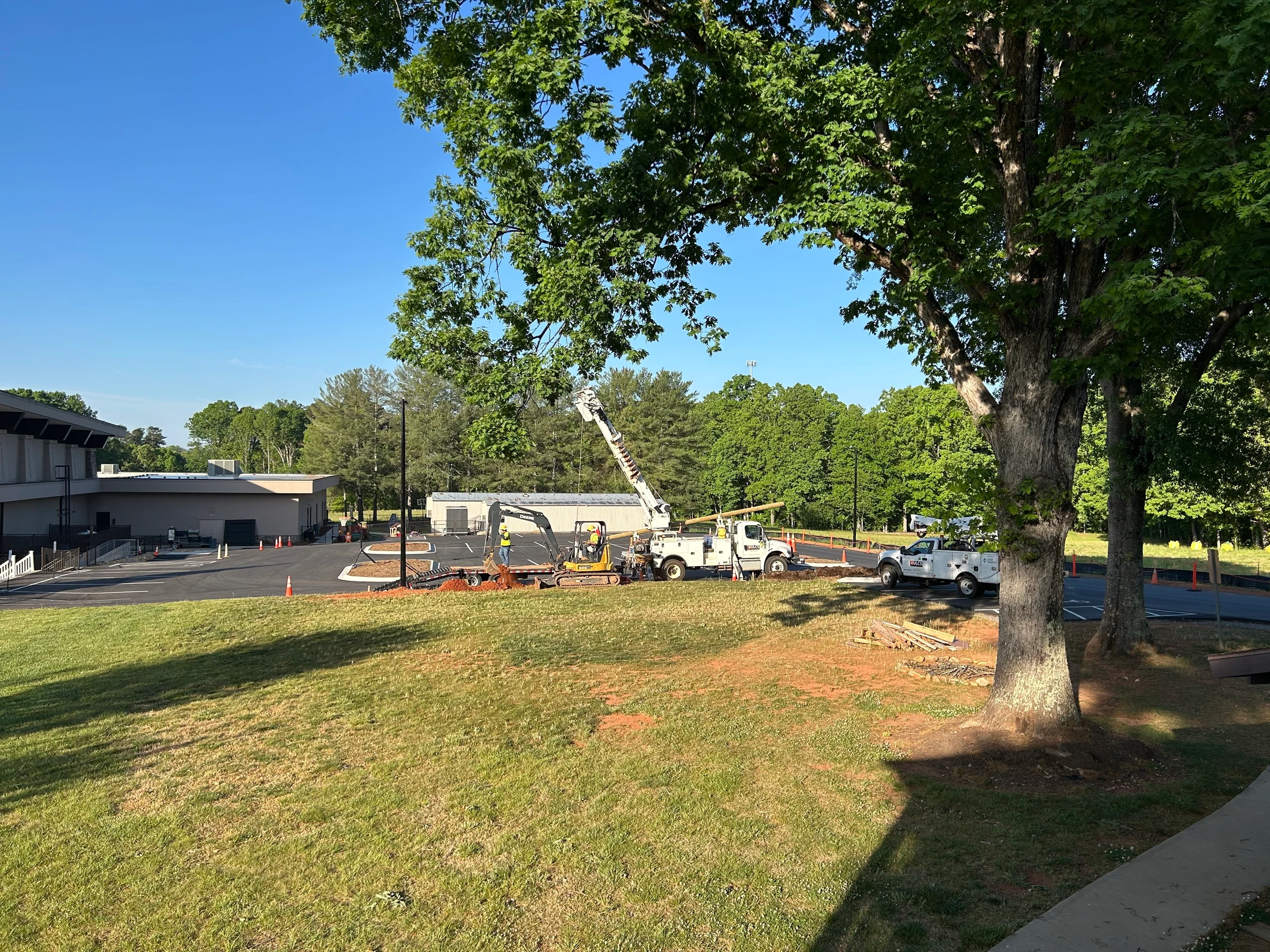 Workers use an excavator and a crane truck to install a utility pole in a parking lot on a sunny day, framed by a large green tree and a grassy hill.