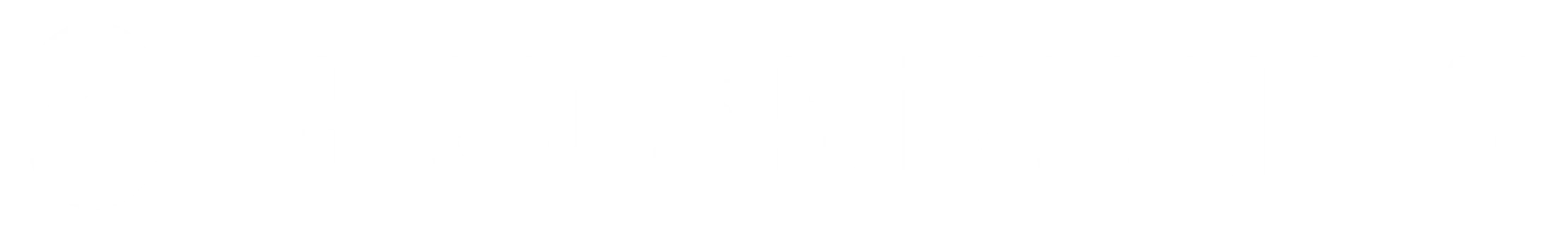 Main Logo